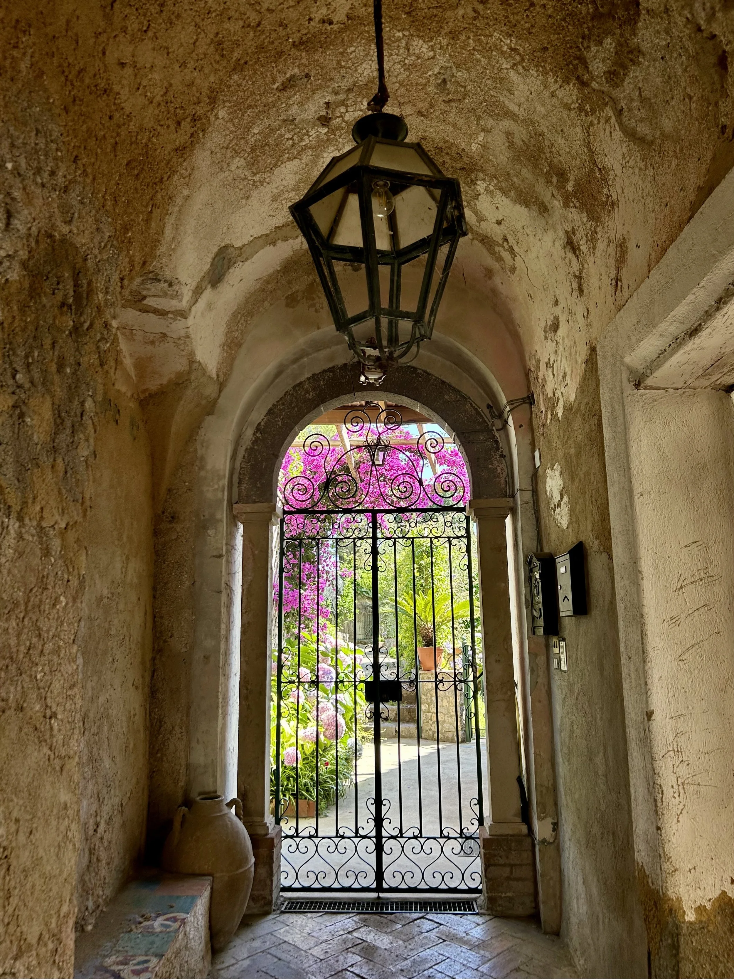 View through a rustic iron gate into a courtyard with colorful pink and purple bougainvilla flowers and green palm trees.
