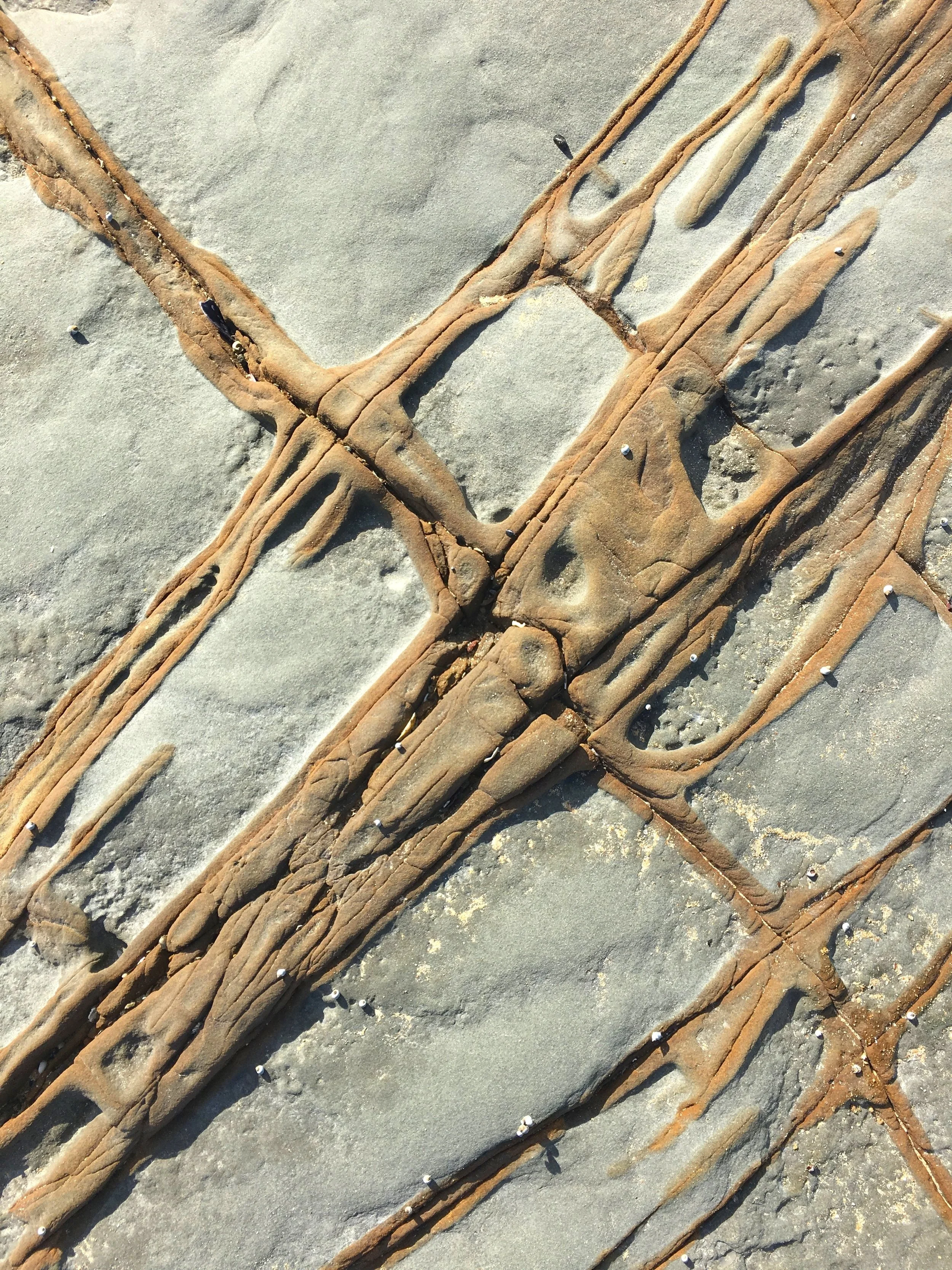 IMPOSSIBLE SHORES #6