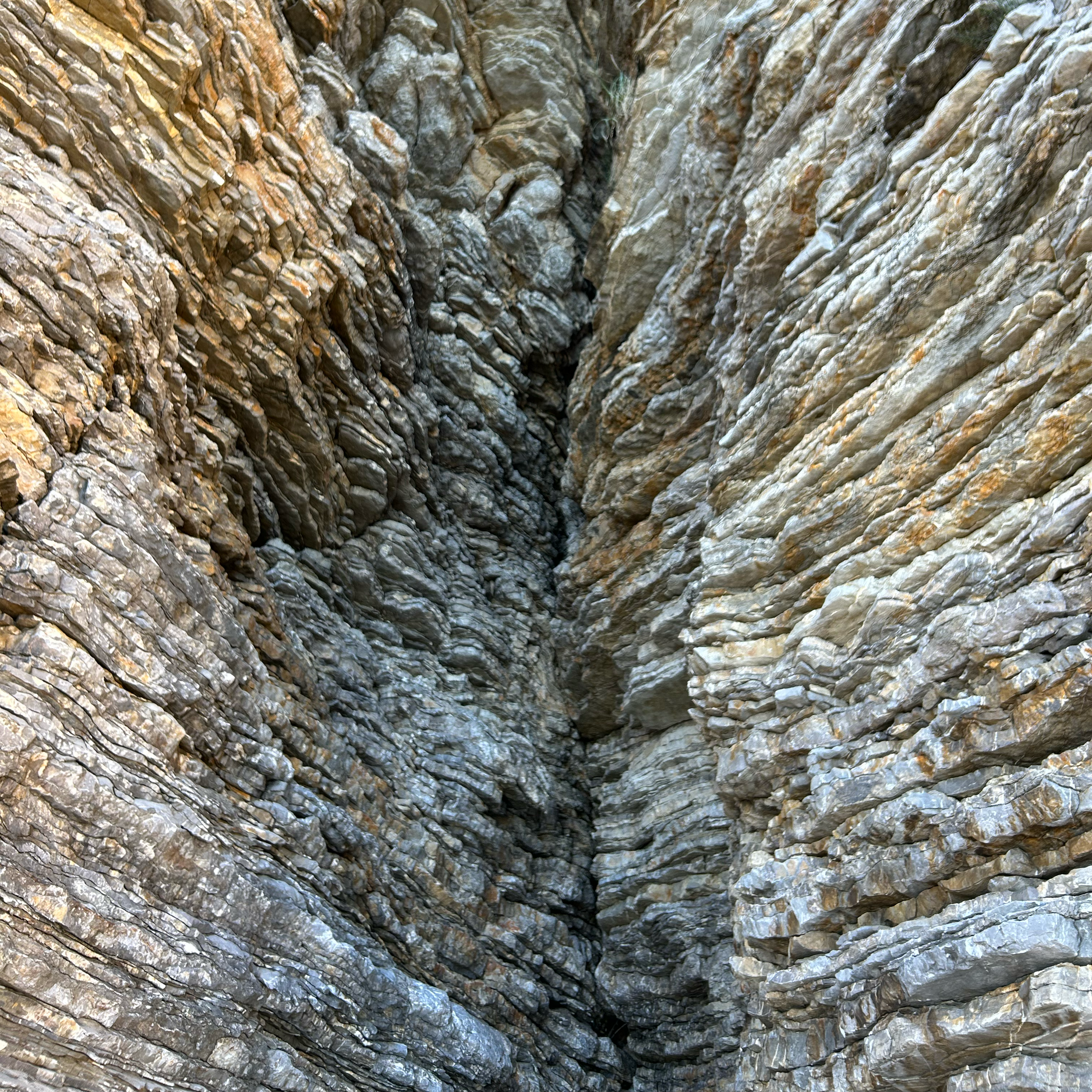 NATURE'S SONGLINES  #3