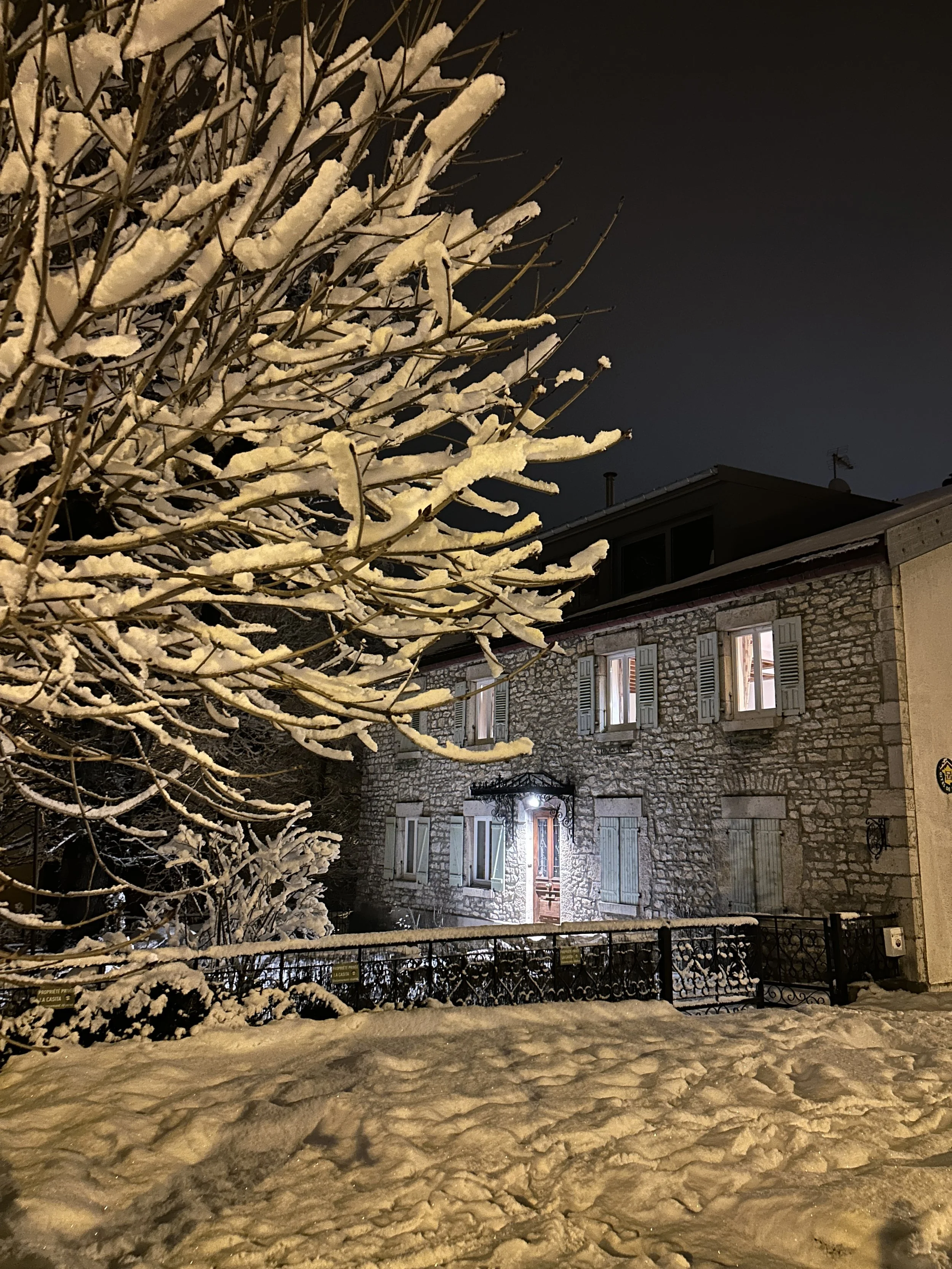 Snow-covered tree and ground in front of a stone house with lit windows at night.