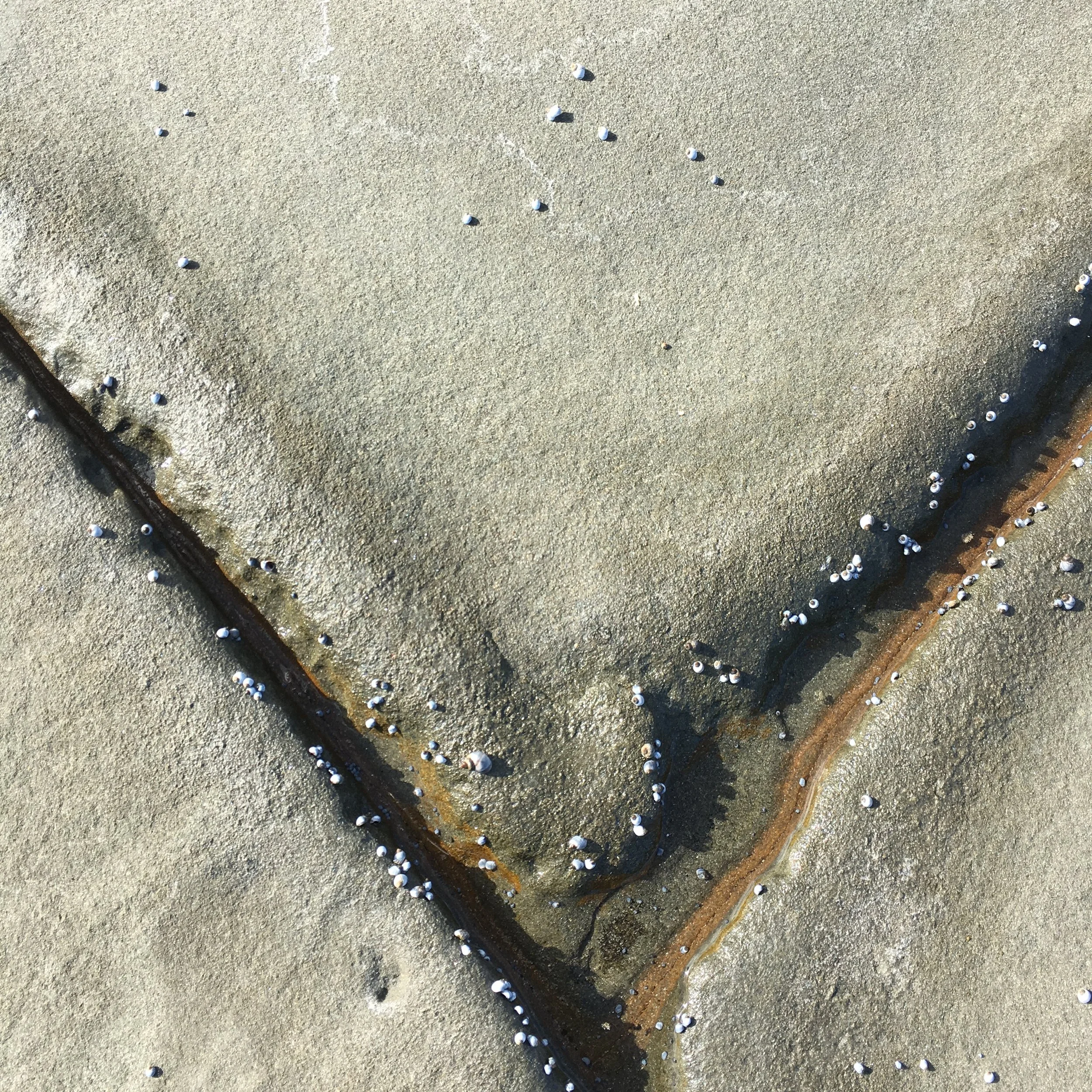 IMPOSSIBLE SHORES #1