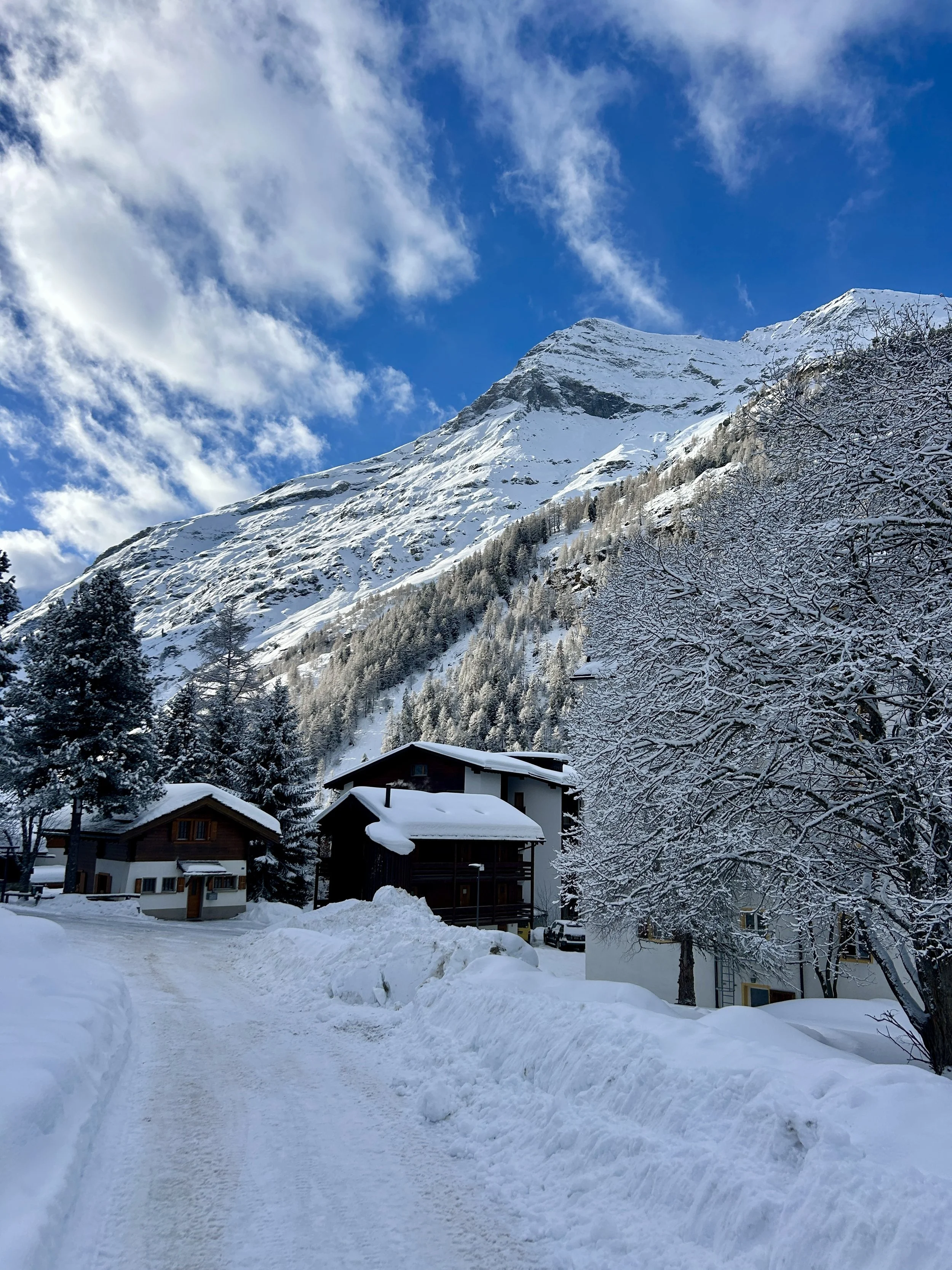 Snow-covered mountain with a clear blue sky, featuring trees and houses in the foreground.