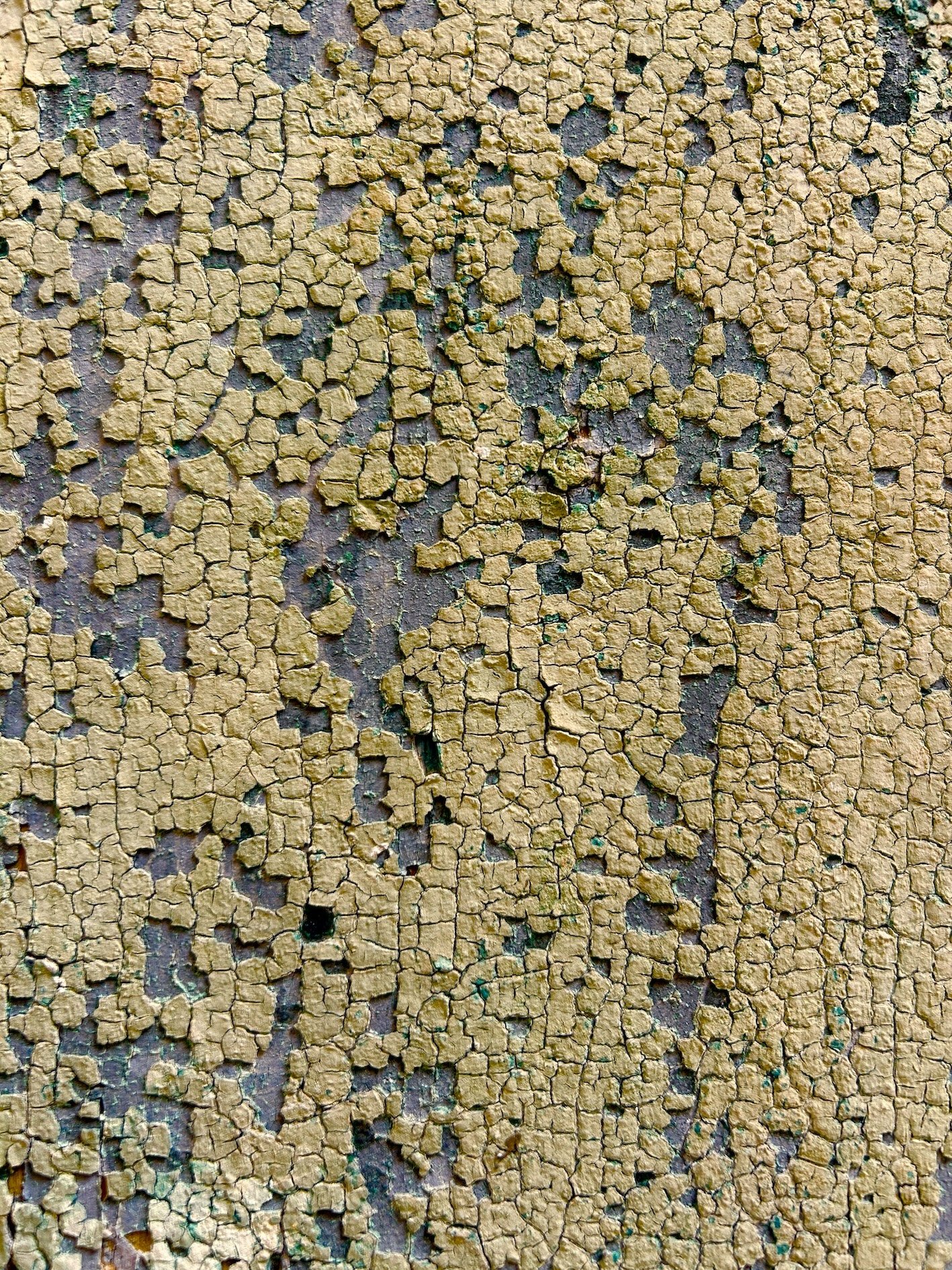 YOUR AGE, YOUR BEAUTY #2