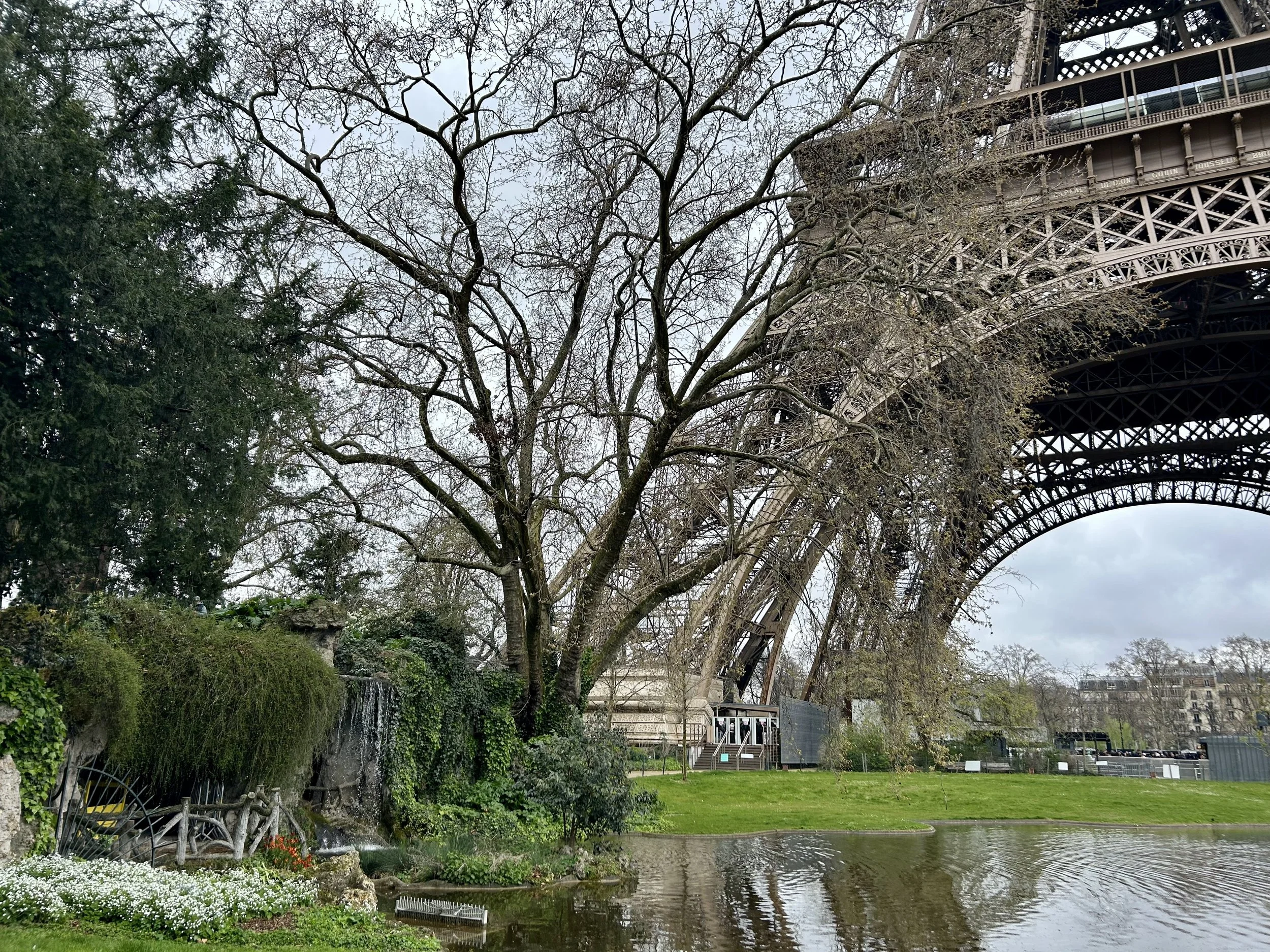 View of the Eiffel Tower from a park with a pond, trees, and greenery.