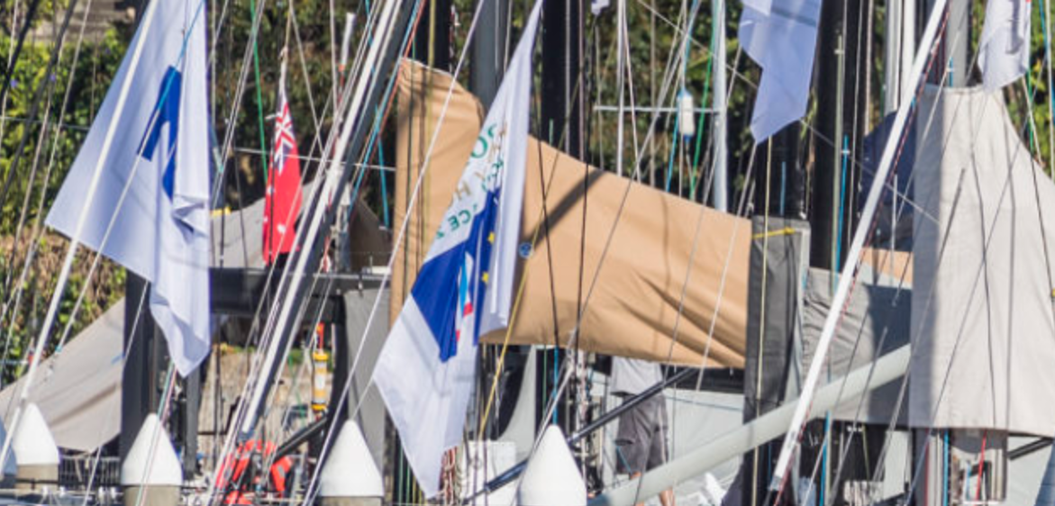 Cruising Yacht Club Australia, Darling Point