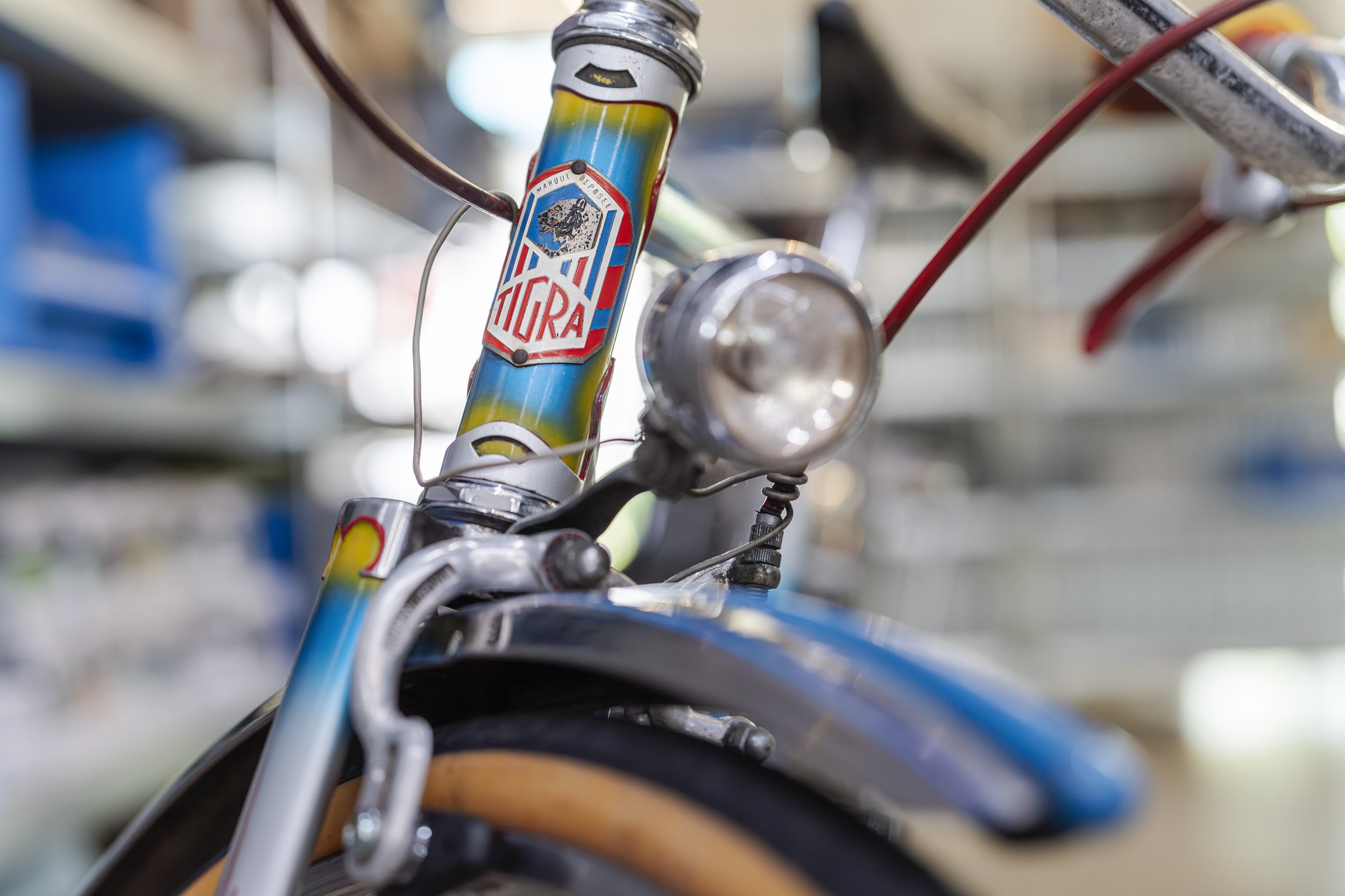 A close-up of a vintage bicycle's front part, showing the head tube with a blue, yellow, and white color scheme, and a 'Tigra' logo on the frame. The bicycle has a headlight attached and is stored indoors, with blurred background shelves.