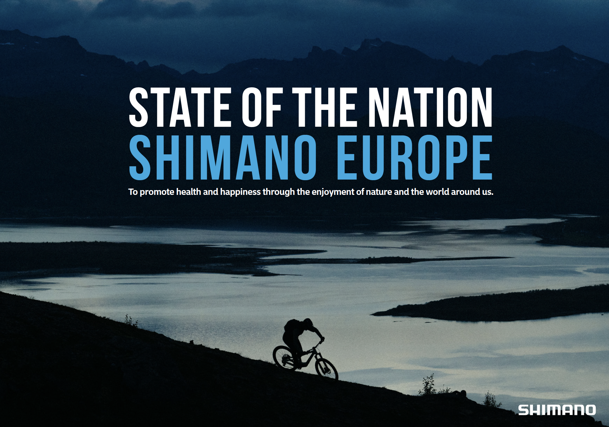 Why Bike Maintenance Decides Whether We Actually Ride