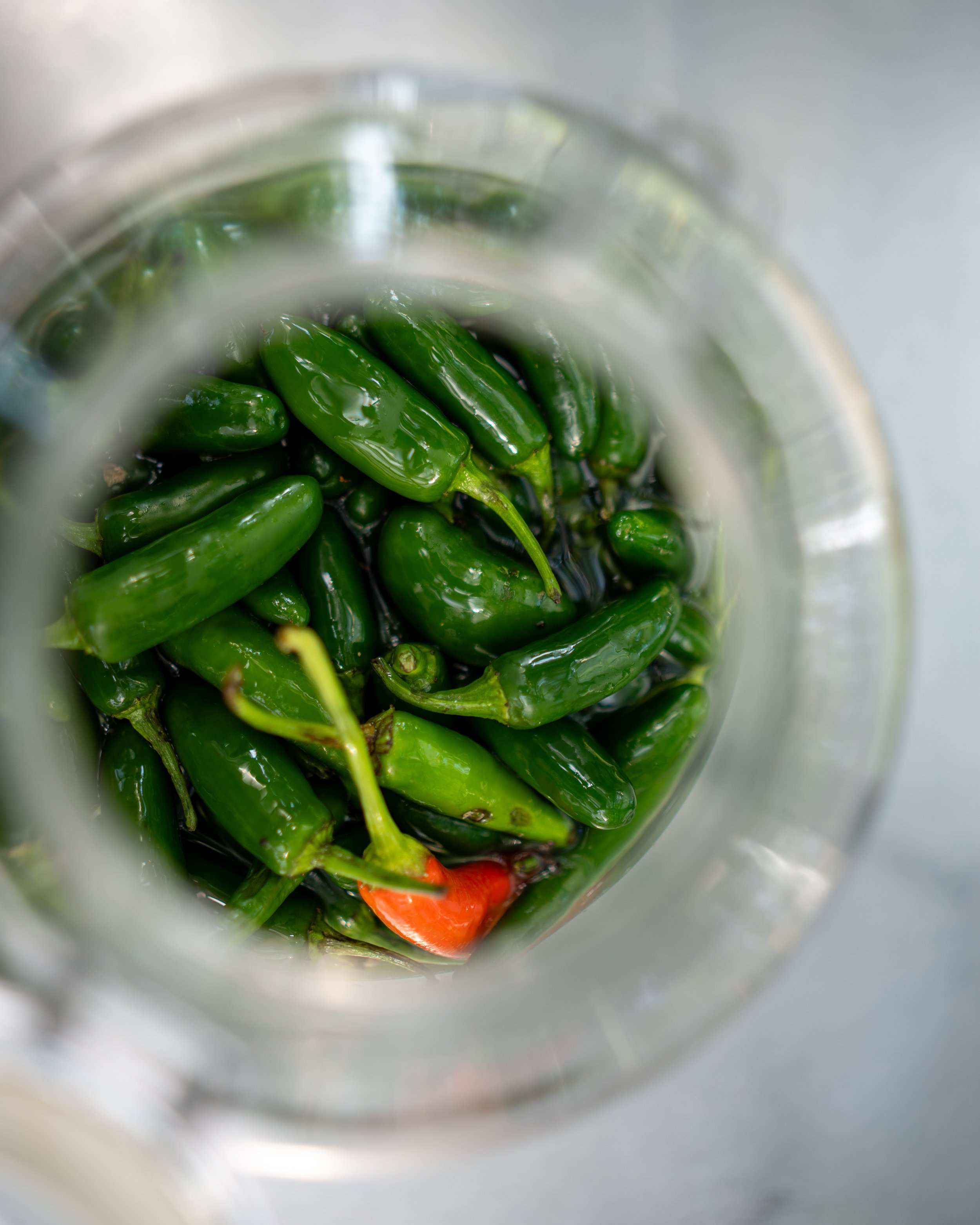 DSC06564.jpg