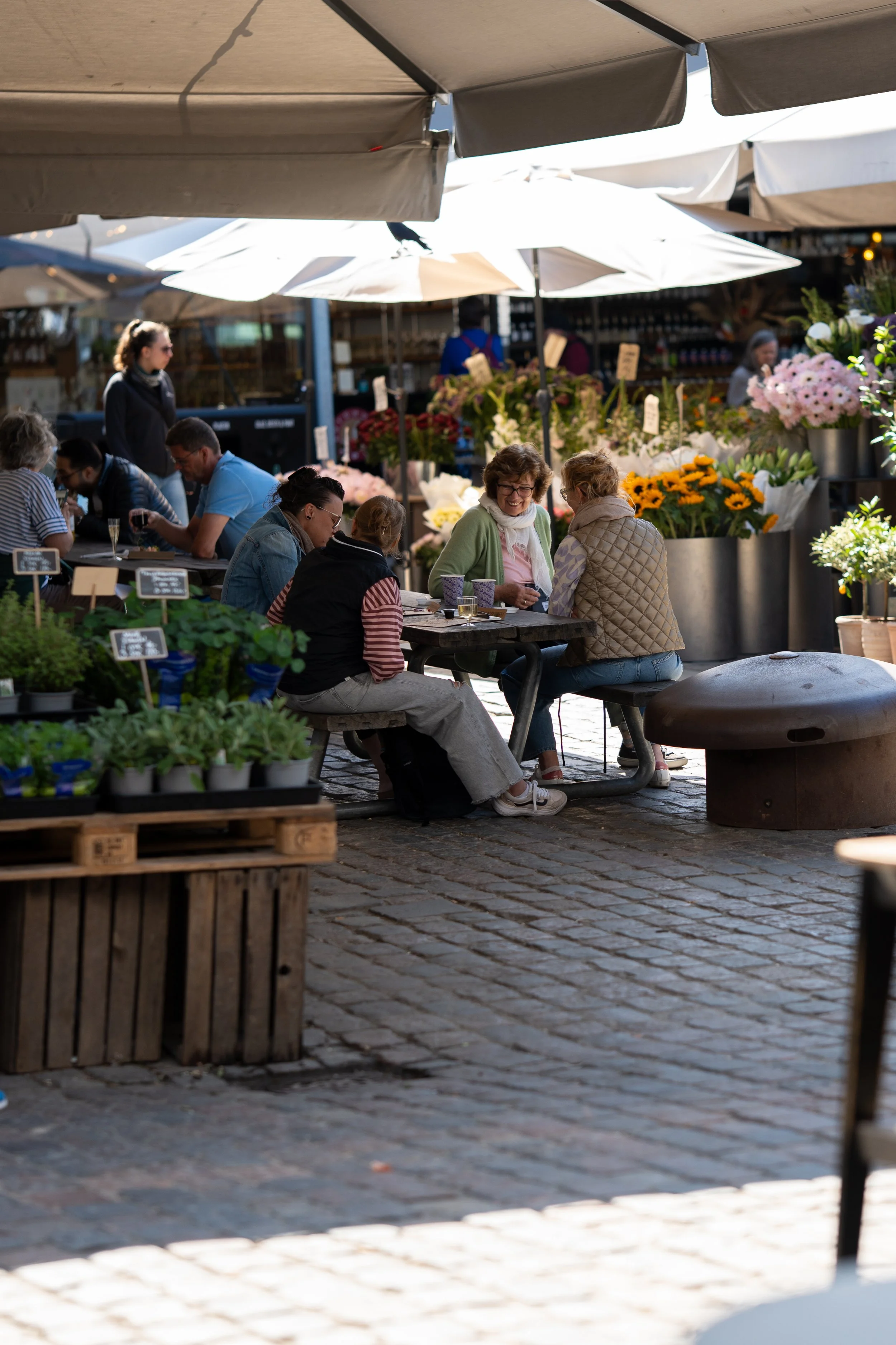 DSC09373-2.jpg
