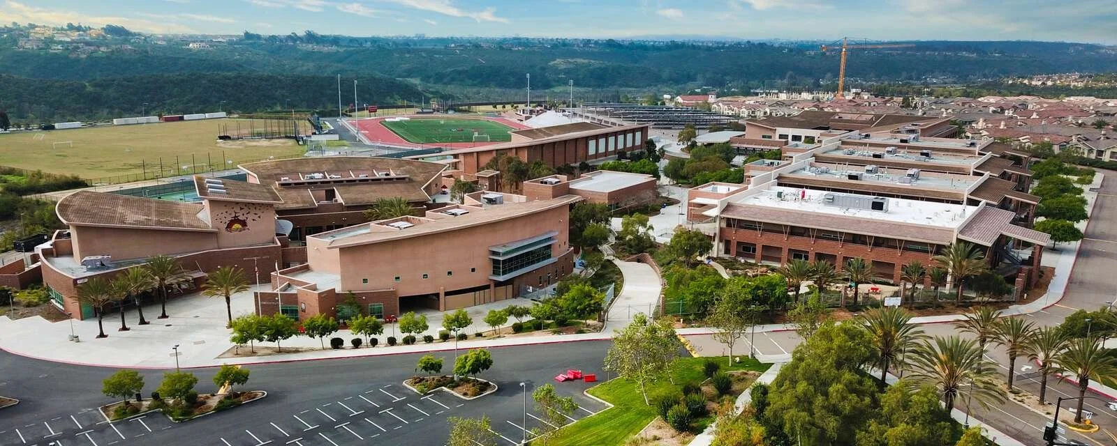 How to Survive High School