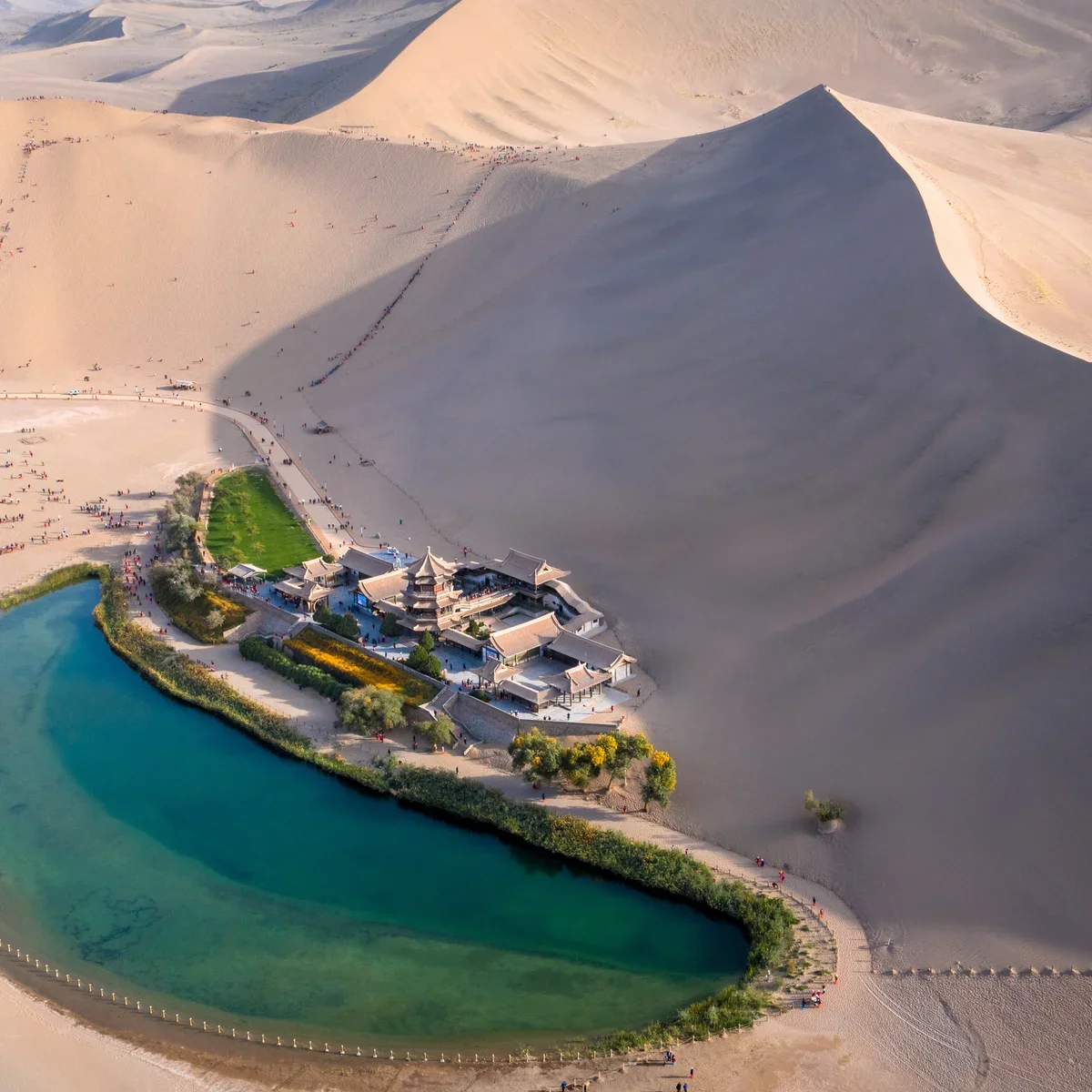 Tracing the Silk Road&nbsp;