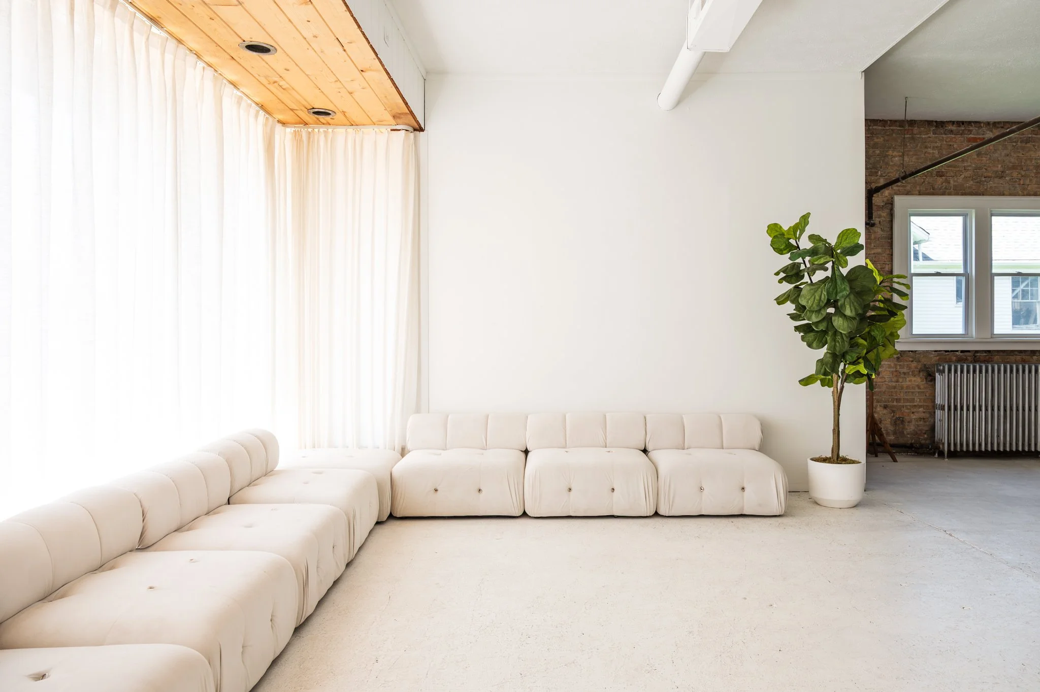 Front studio space with white sectional sofa, tall potted plant, large window with white curtains, exposed brick wall, and ceiling with wooden paneling. Perfect for daylight photography.