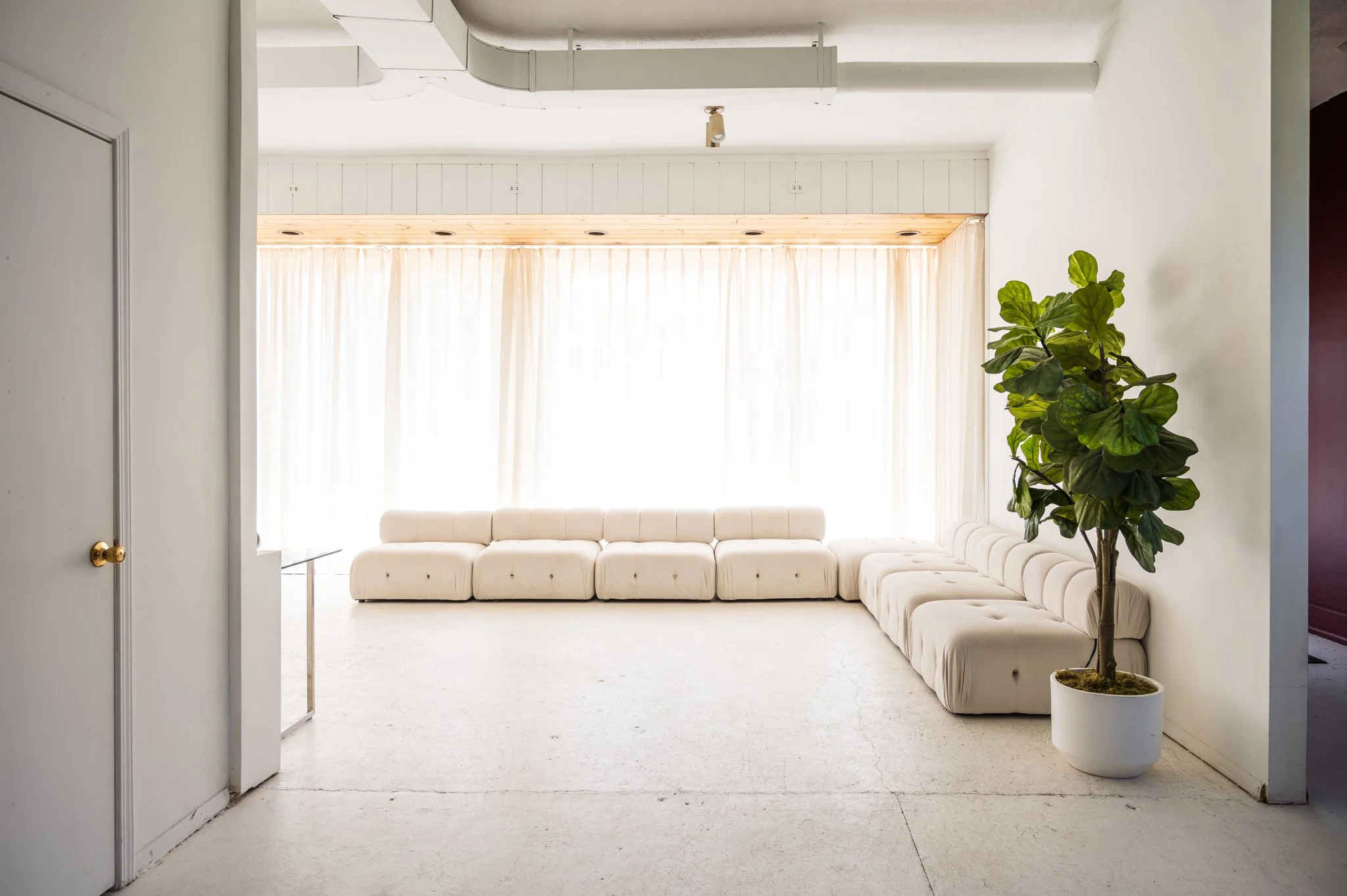Bright front room with large window covered by sheer curtains, white curved sofa, tall potted plant, and white walls. Perfect for daylight photography.
