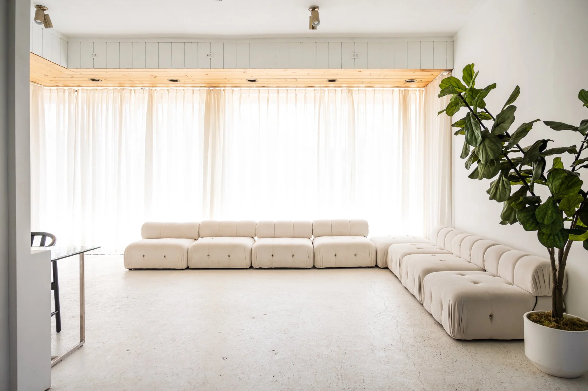 Bright front room with large window covered by sheer curtains, white curved sofa, tall potted plant, and white walls. Perfect for daylight photography.