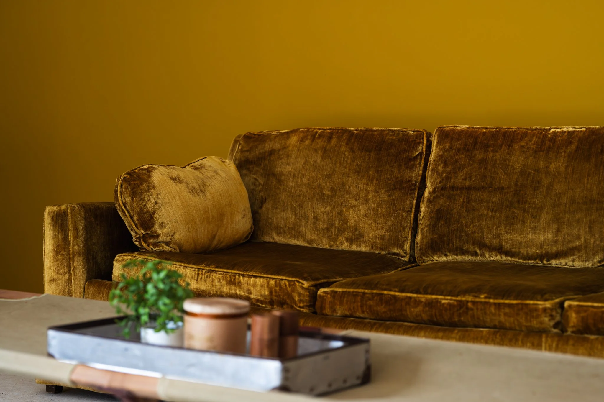 A living room set in Area Hall Art House's studio with a yellow accent wall, a mustard-colored velvet sofa, and a wooden and canvas coffee table.