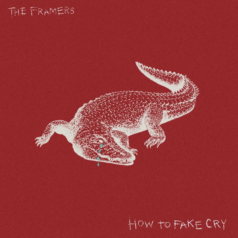 howtofakecrycover800x800.jpeg