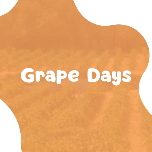 Grape Days of Summer
