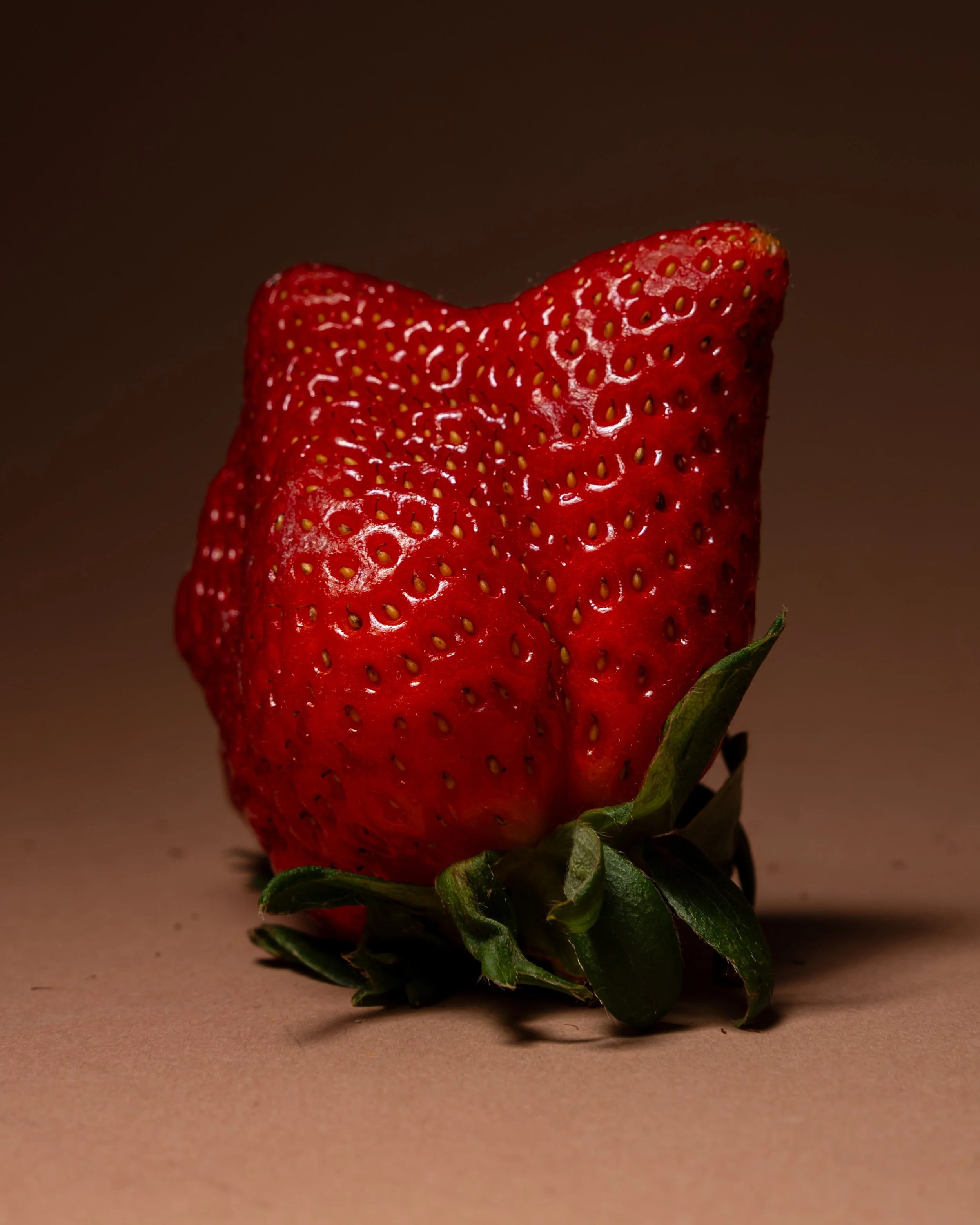 still life-17.jpg