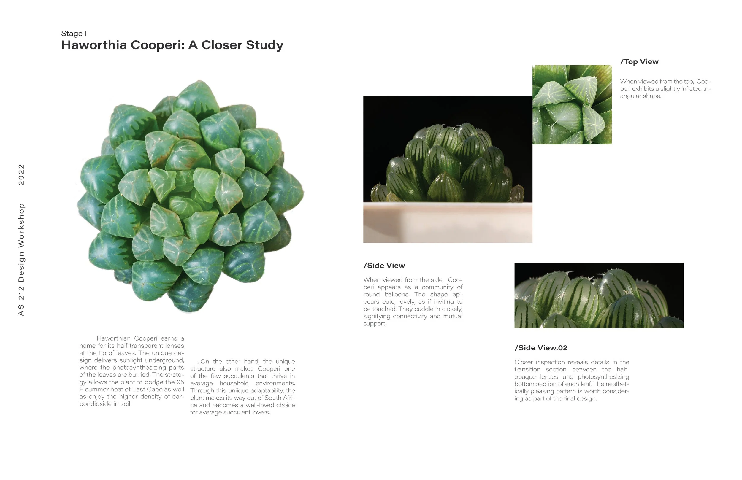 Portfolio_Cooperi5.jpg