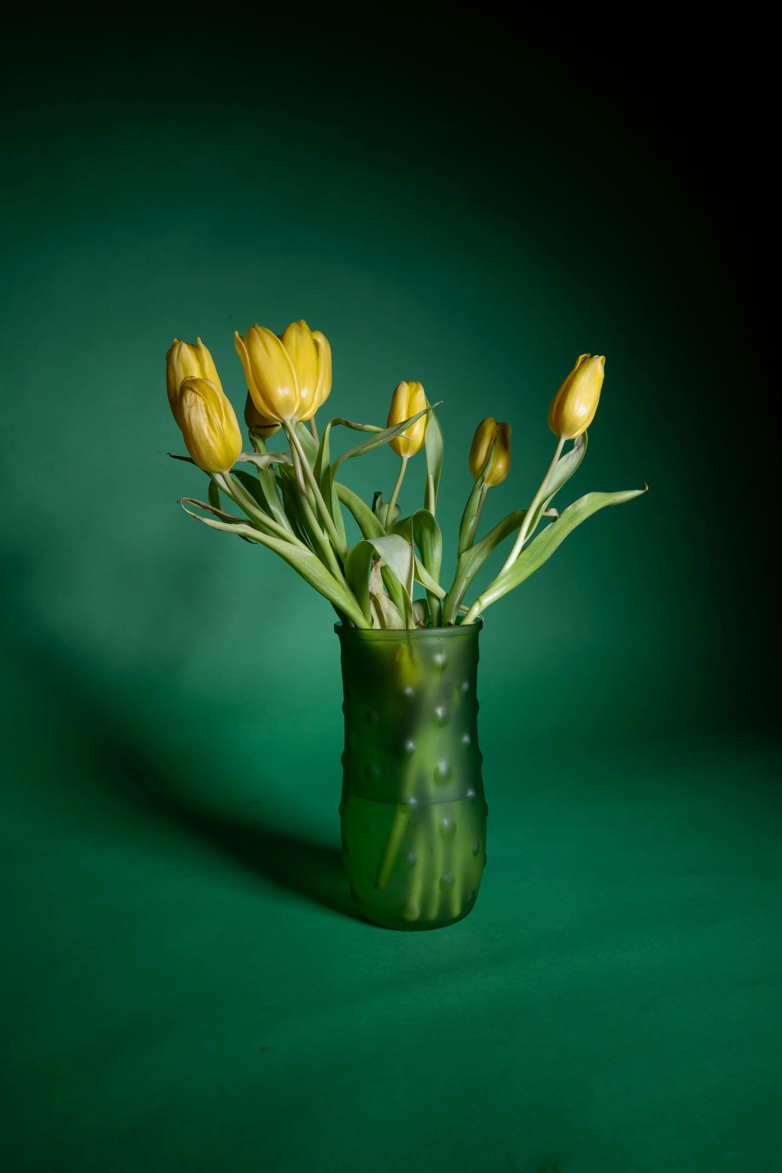still life-55.jpg