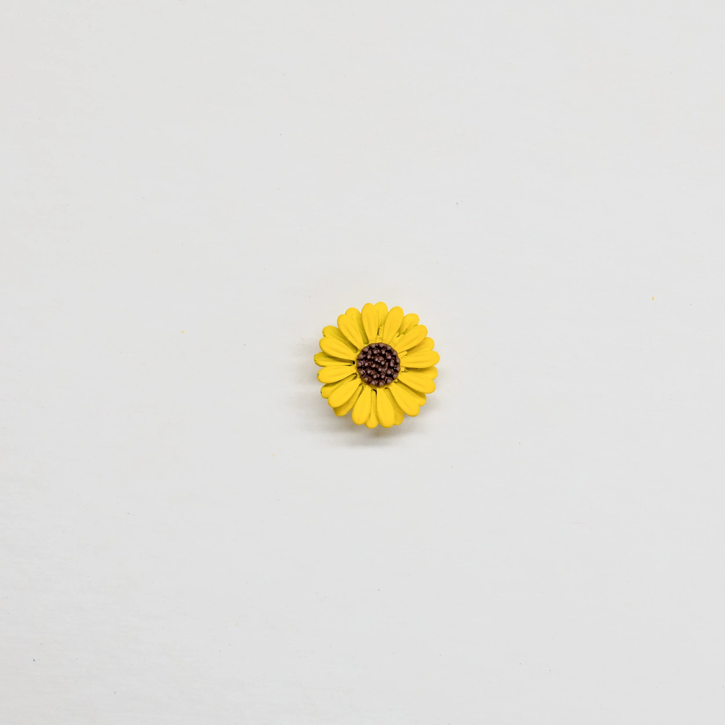 -20241012_15.jpg
