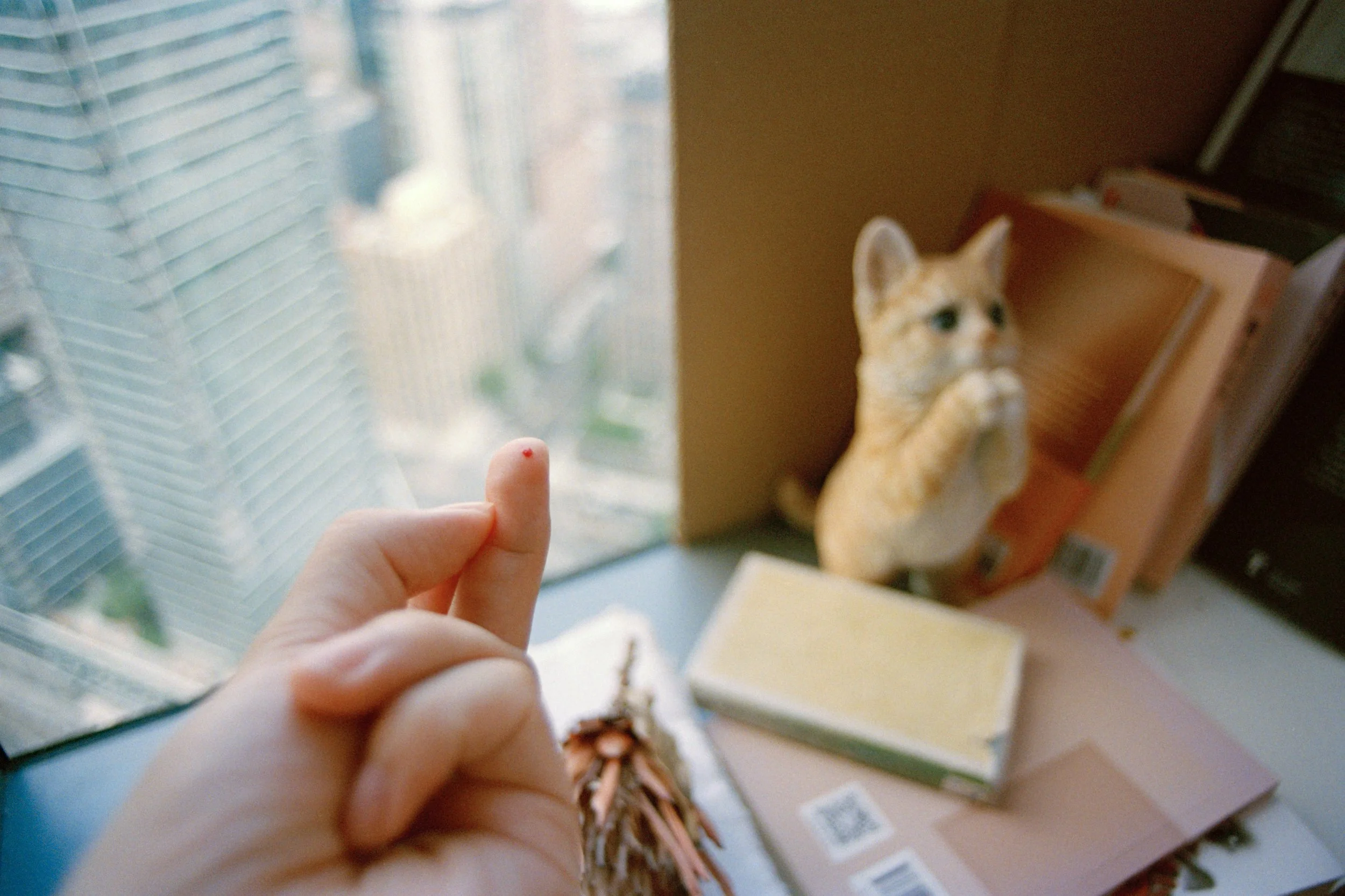 Minolta 464.jpg