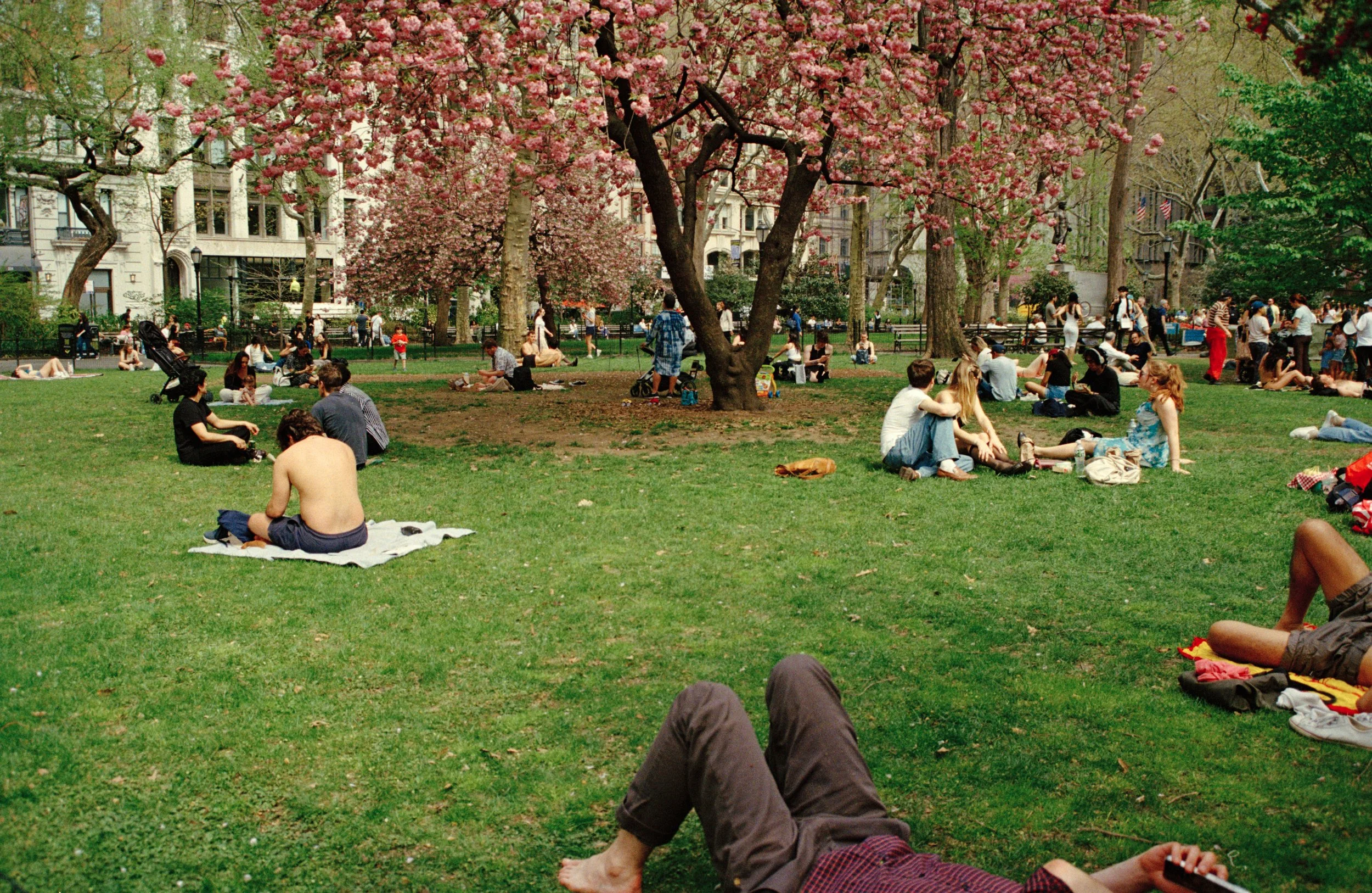 Minolta 370_2.jpg