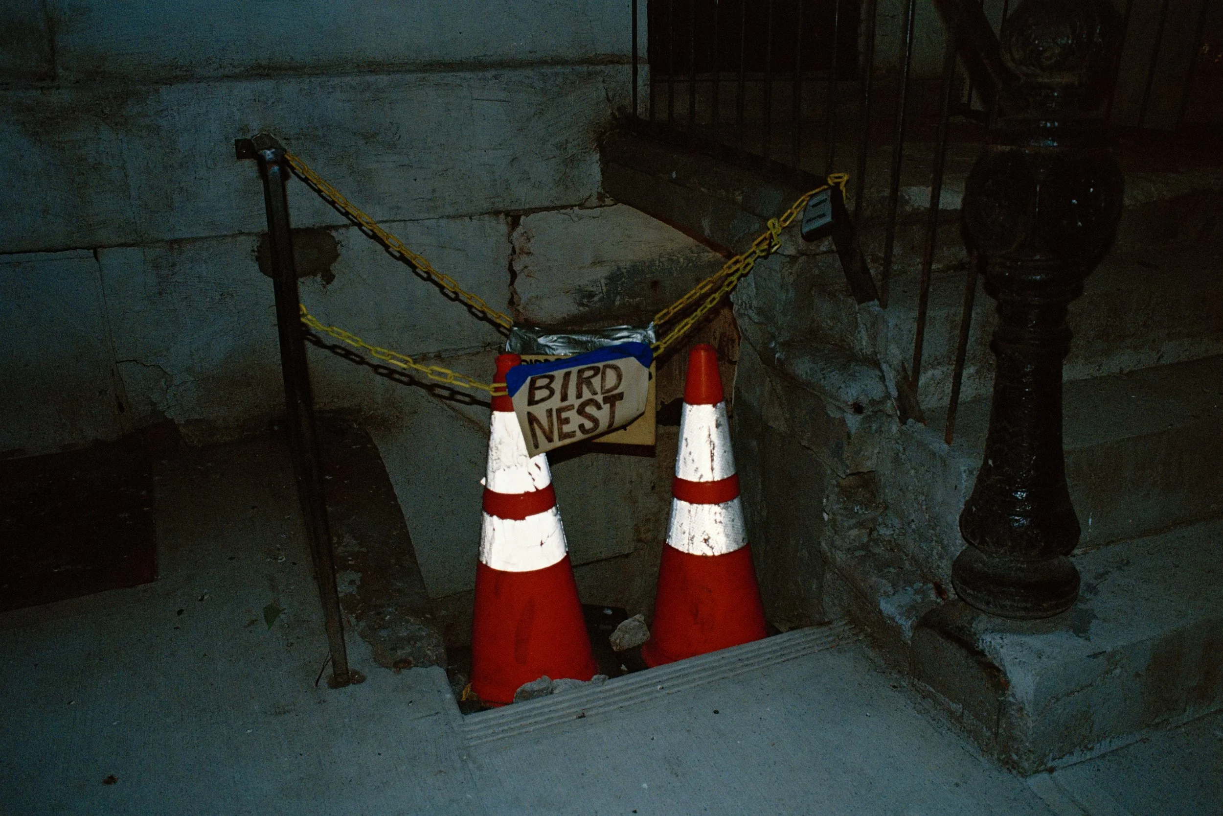 Minolta 521 - edit.jpg