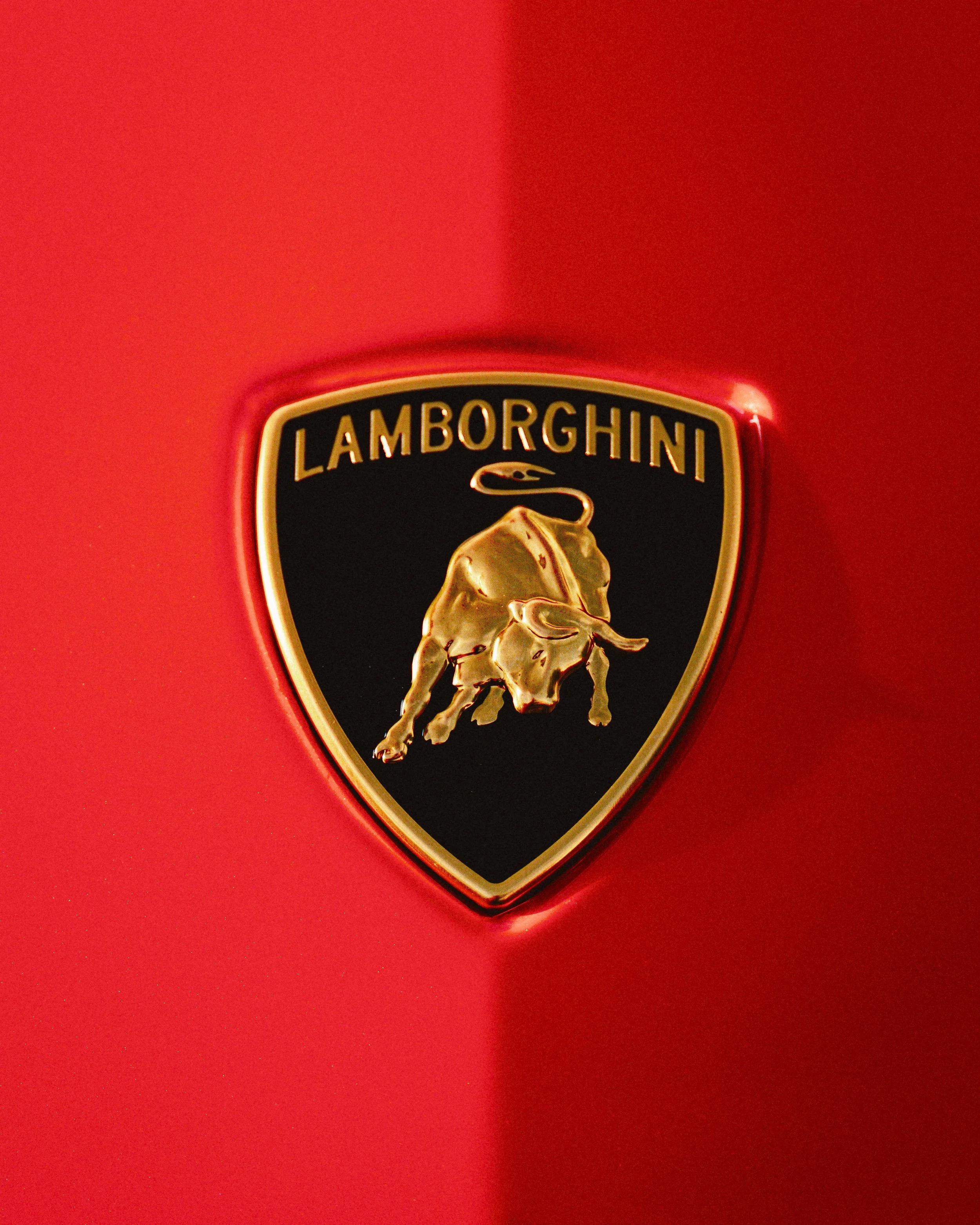 LAMBO-TOR25-MM-12.jpg