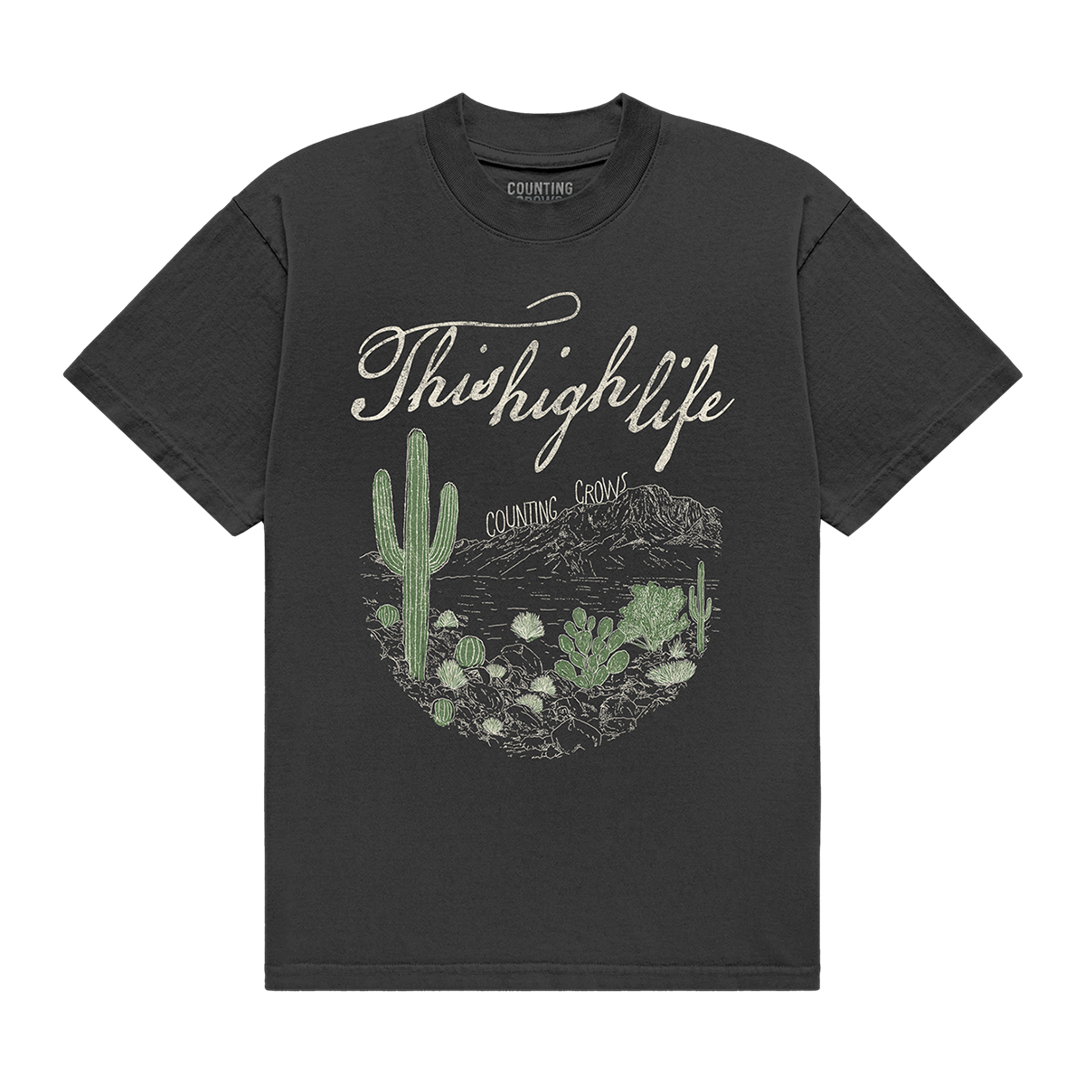 Counting Crows High Life