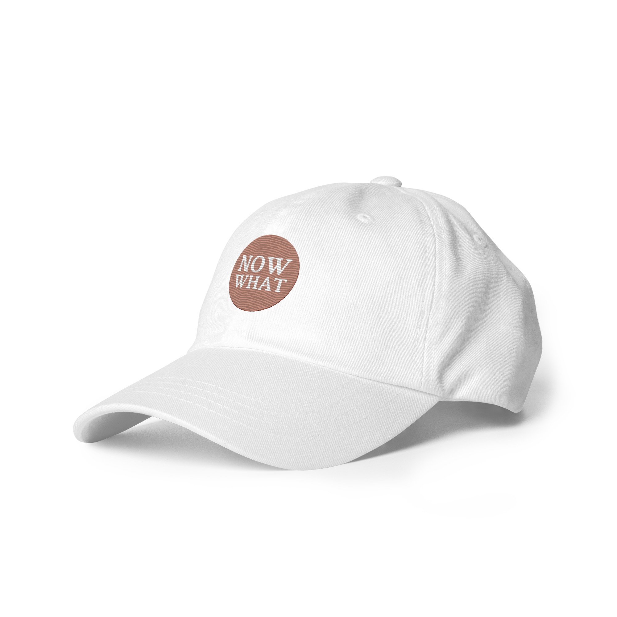classic-dad-hat-white-left-front-68699e713f37e.jpg