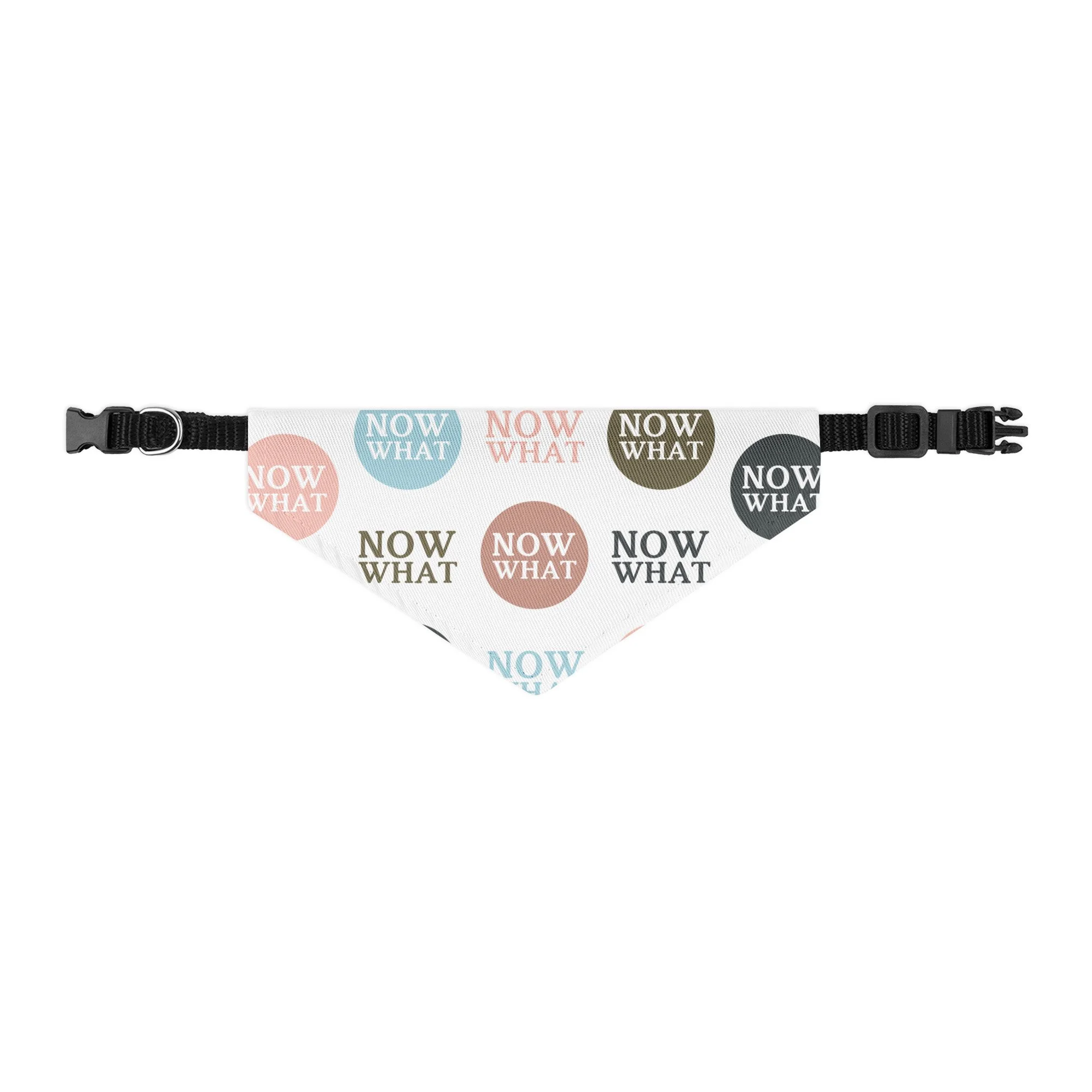 pet-bandana-collar-black-s-front-6886ca114a61b.jpg