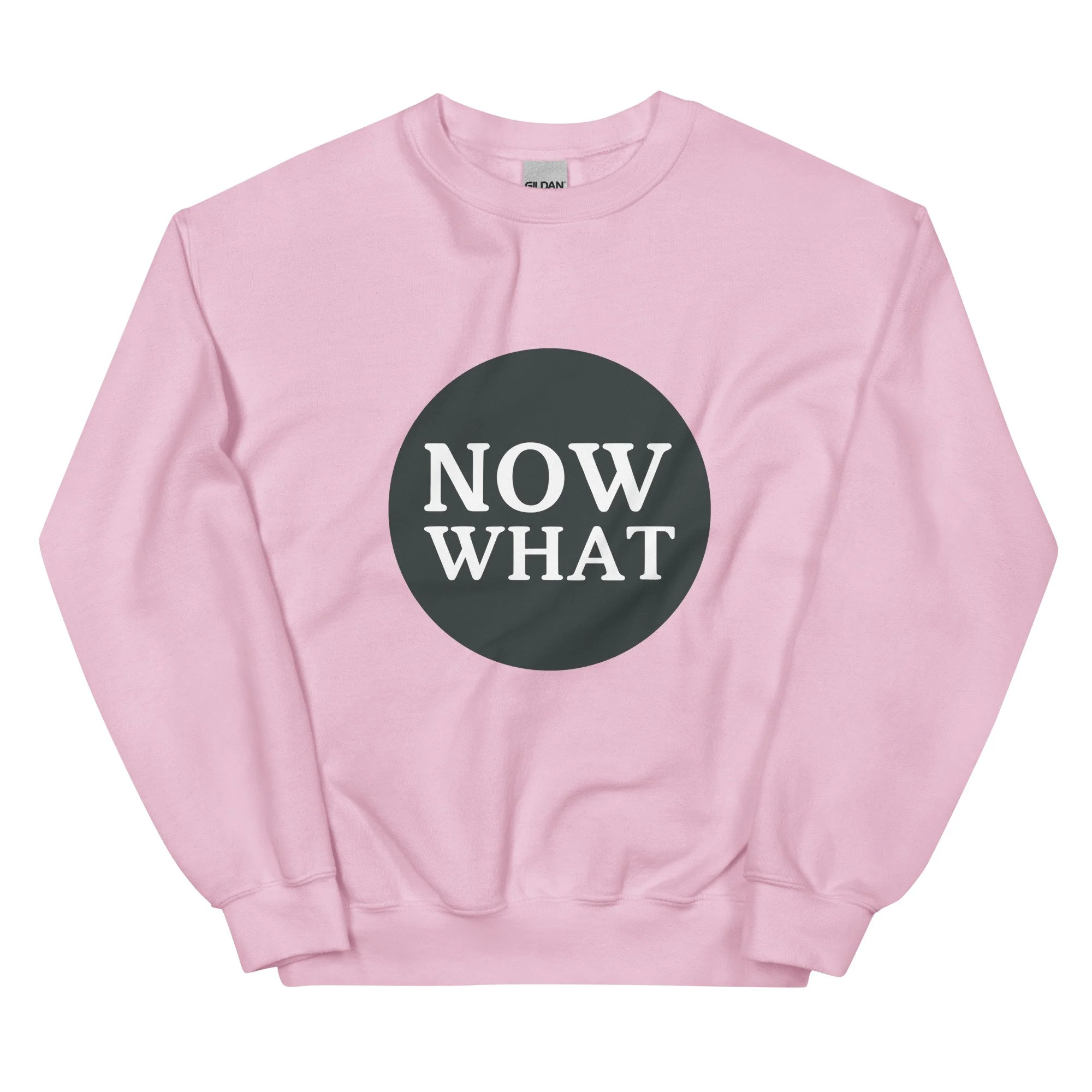 unisex-crew-neck-sweatshirt-light-pink-front-695c052f6d0ee.jpg