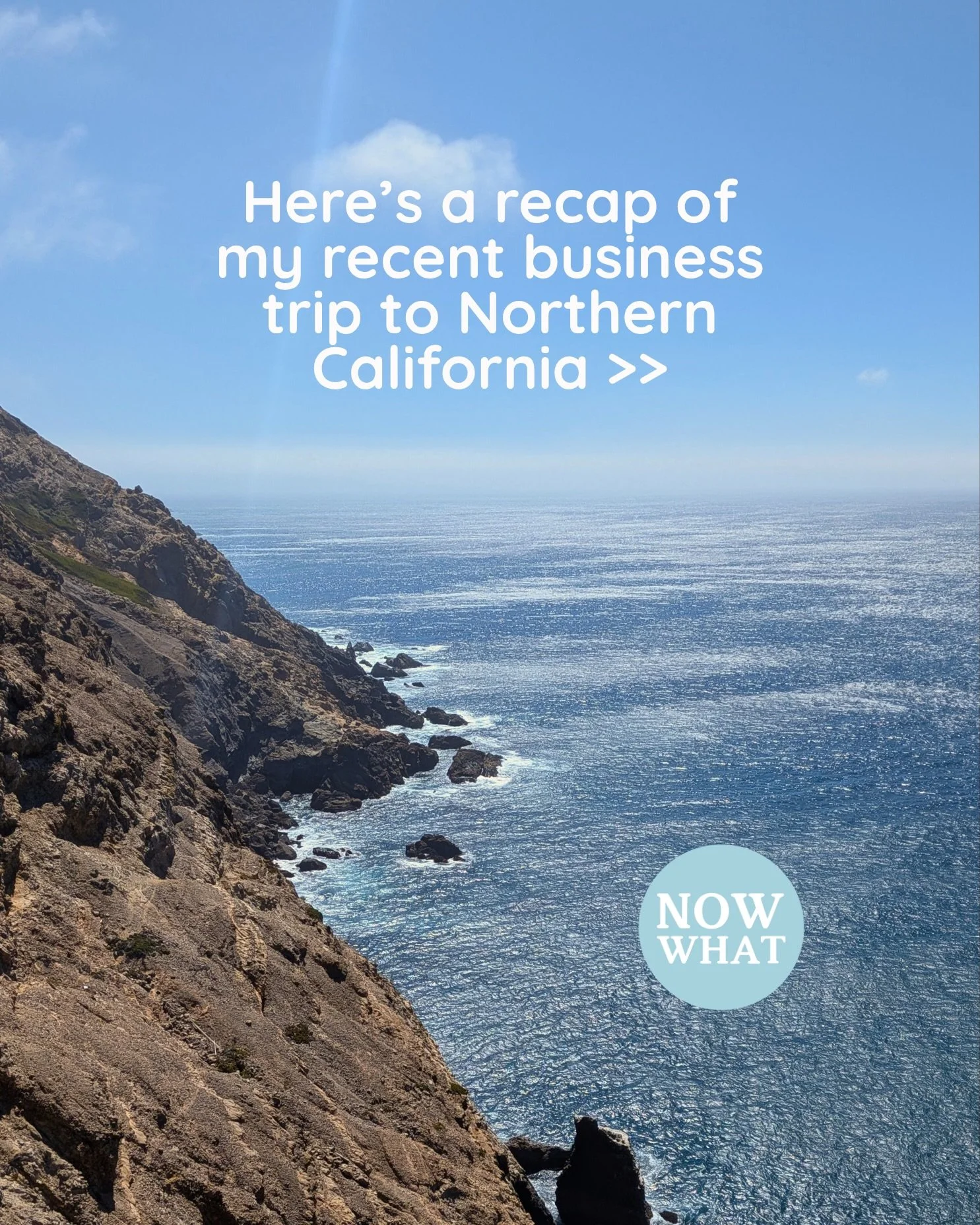 Come with me on a business trip ☀️

Last week, I took a trip to Northern California with my family to visit one of my clients, CLAM. The Community Land Trust Association of West Marin (CLAM) creates and preserves affordable housing for local working 