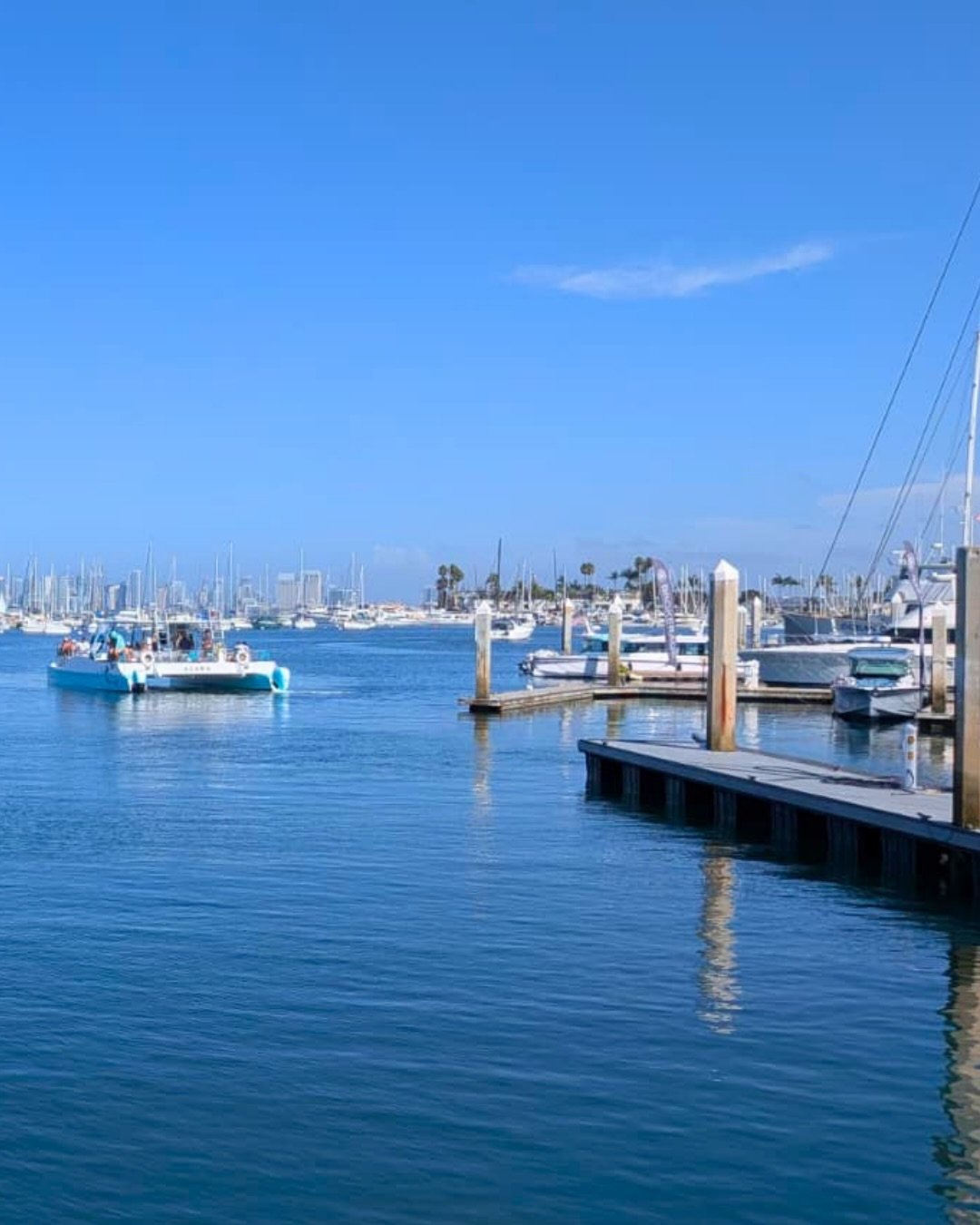 I had such a fun evening out on the water! 🌊

It was great to connect with familiar faces and meet new people aboard the Triton Charters catamaran, hosted by HUB International. Thanks to Dori Wittman, Neal Stehly, CEBS, and Alissa Viggianelli for pu