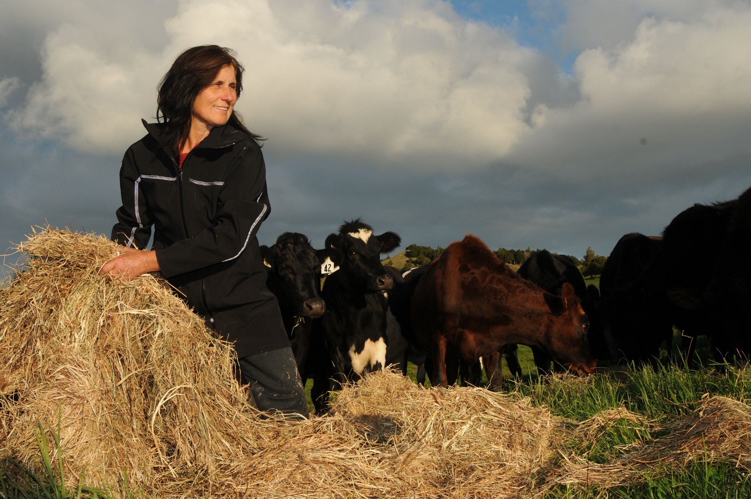 KIMBERLEY MAAKA - The Waihou Jacket - Farmer Shelley Alexander with Cows : Herd : Hay.jpg