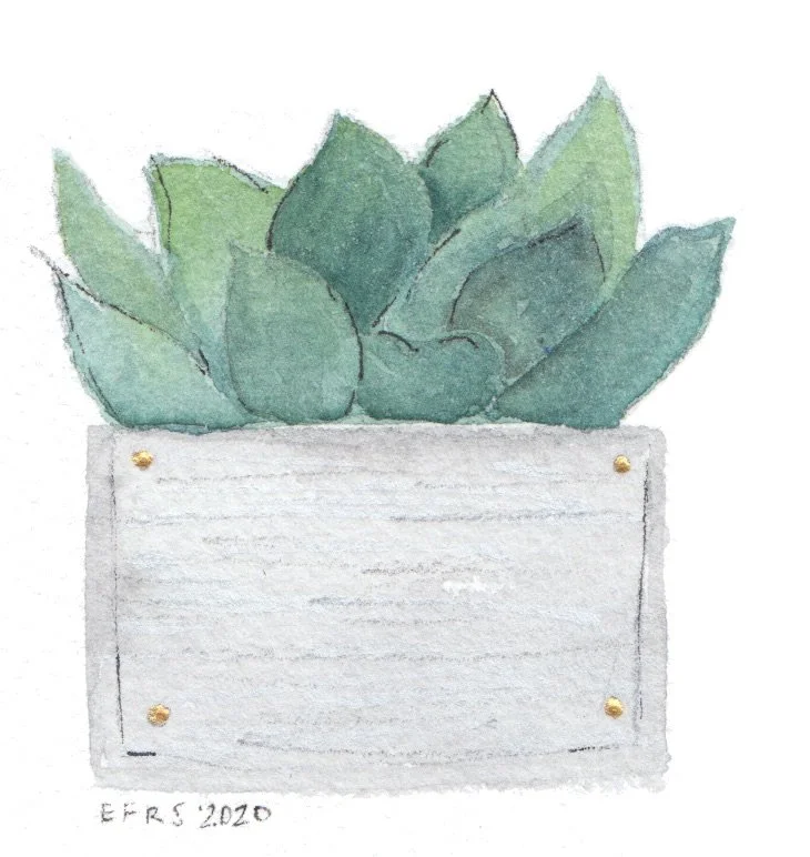 Succulent_Square.jpeg