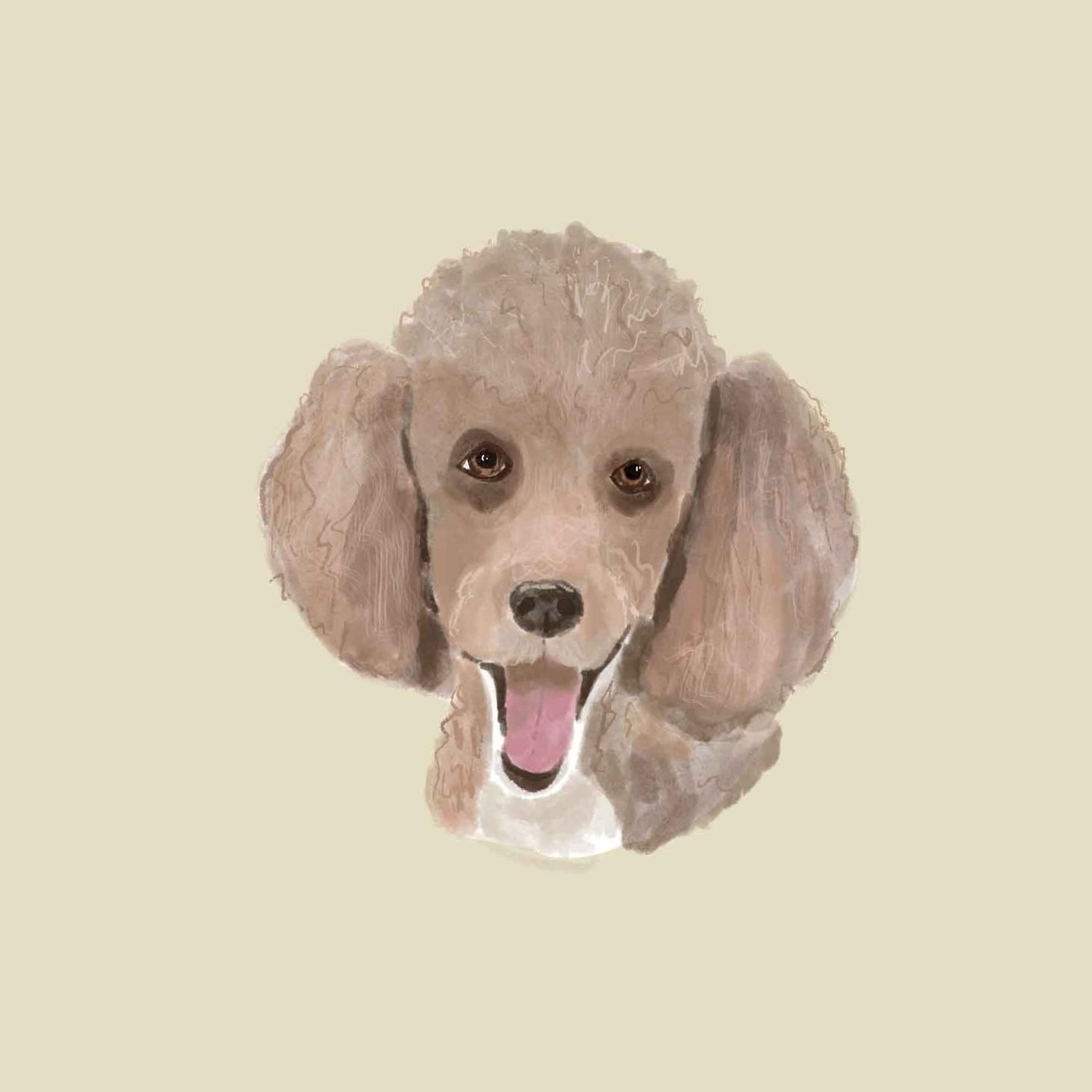 00007-KatieMatz-Pet.jpg