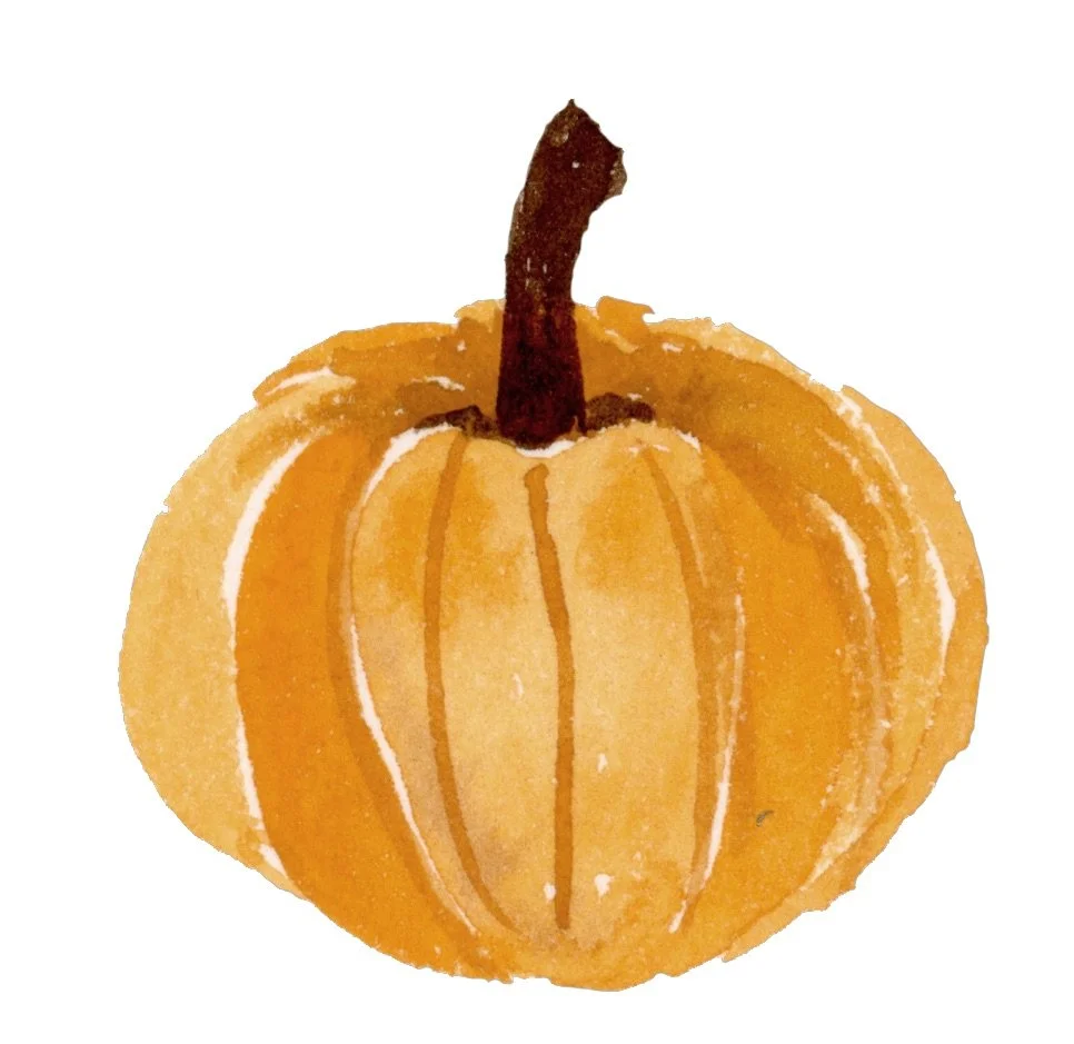 Pumpkin_orange.jpeg
