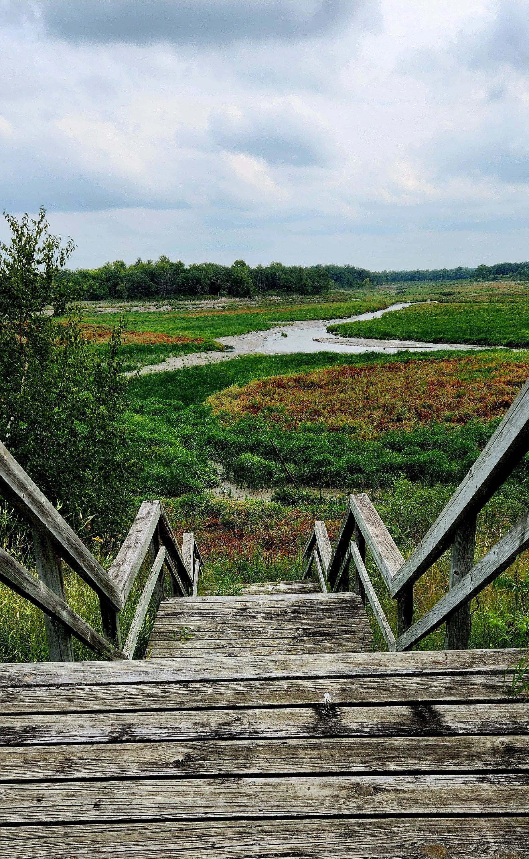 Monica Yepez Halvorson, September 2025