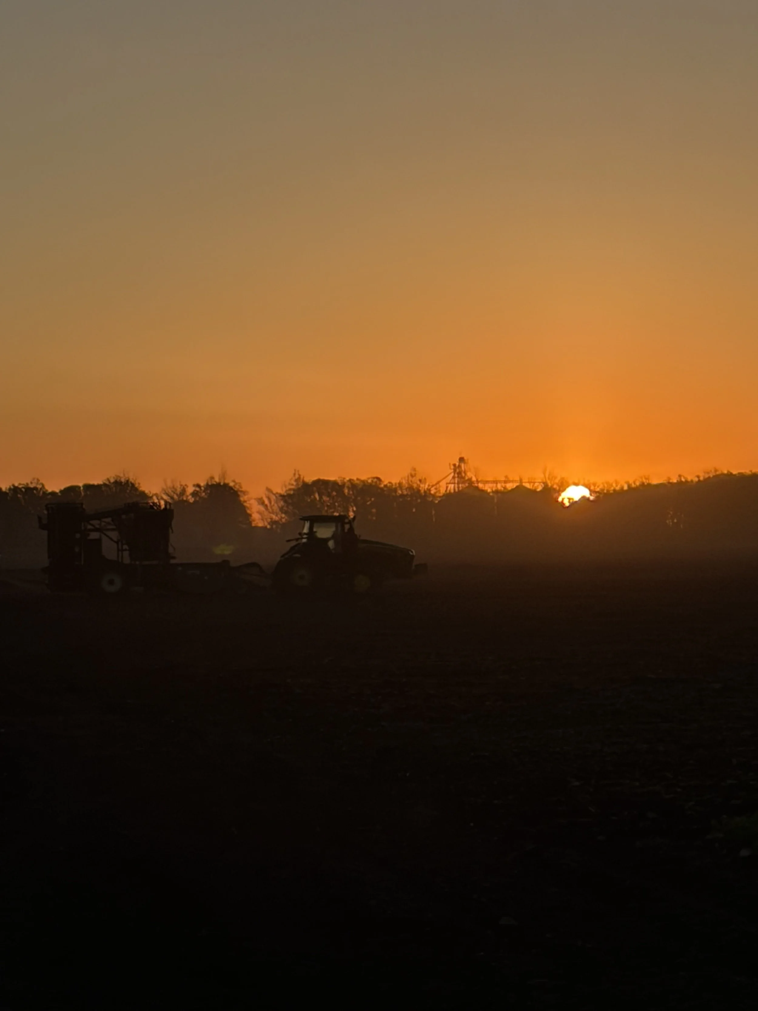 Rollie Roth, October 2025