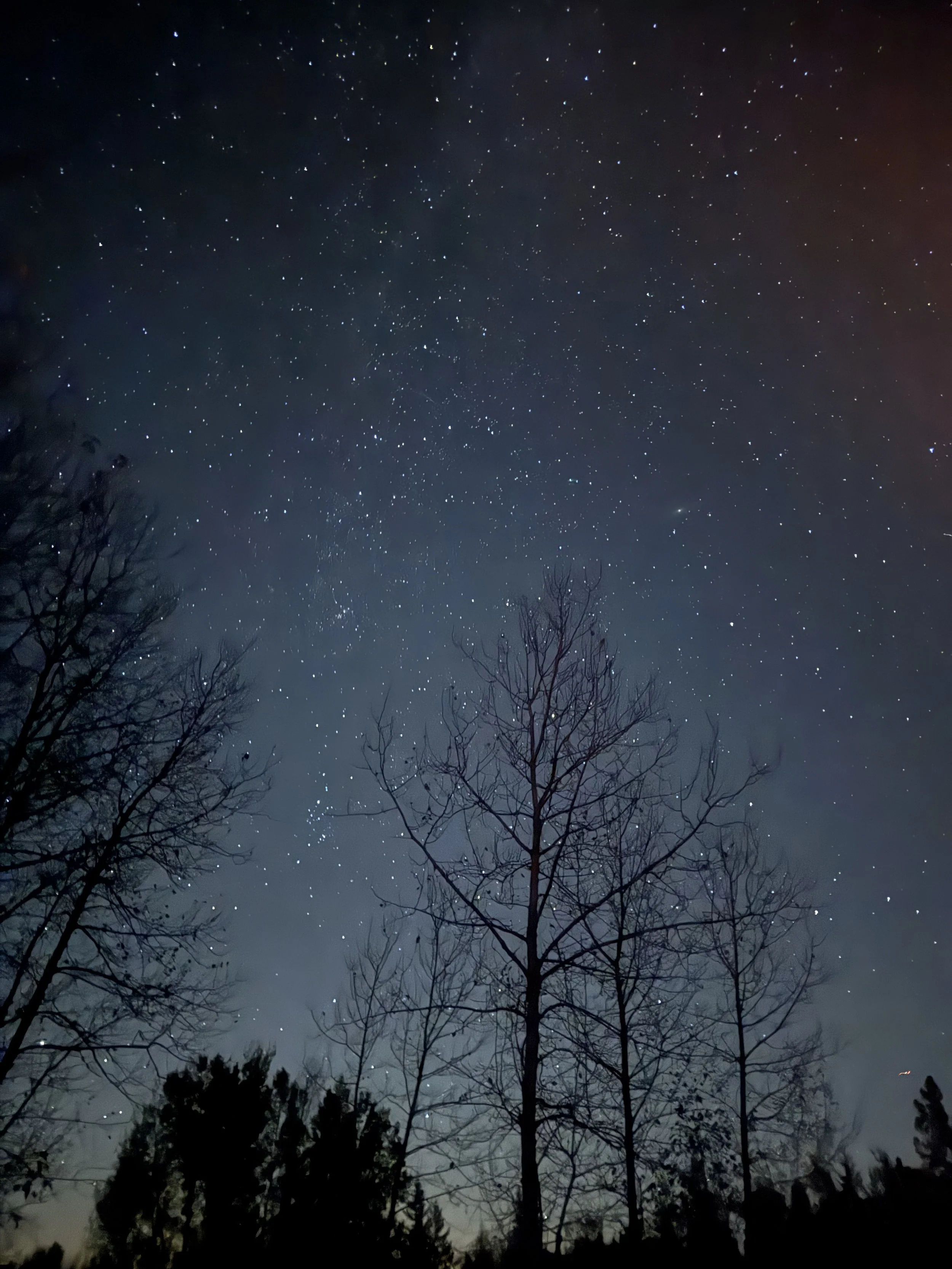 Melissa Braun, December 2025