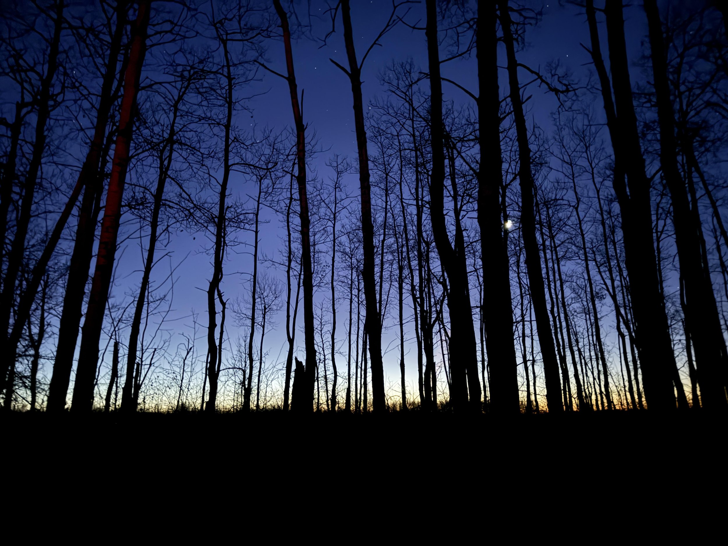 Jacob Hook, November 2025