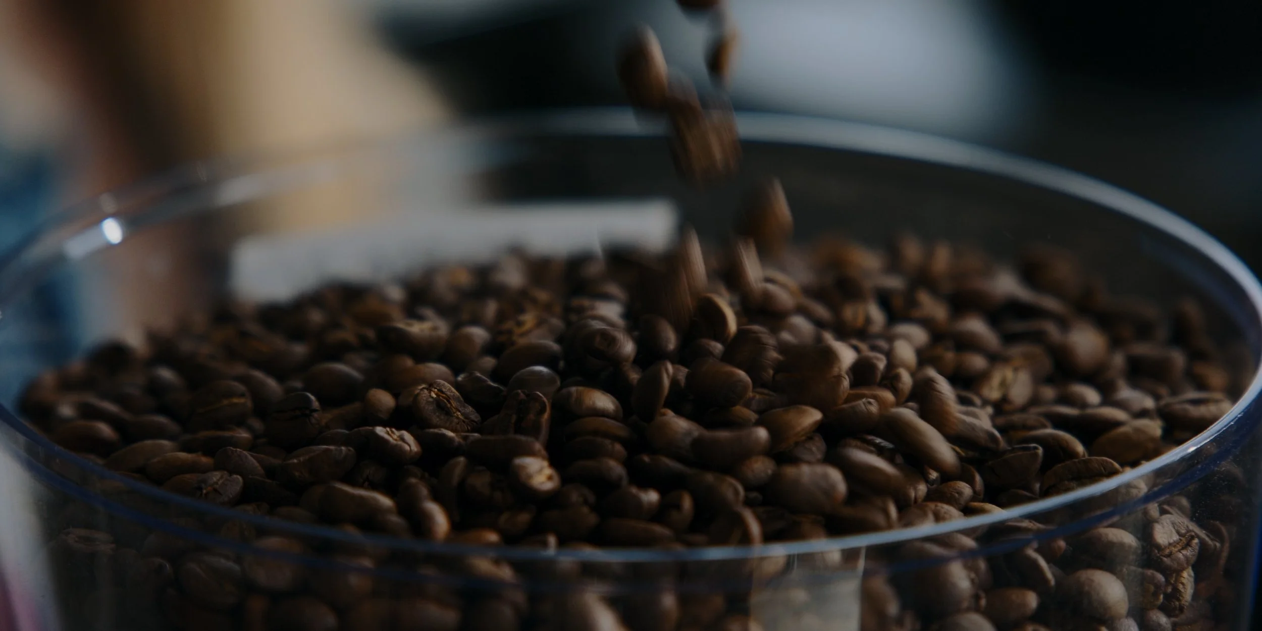 neighbors frames_1.1.9.jpeg