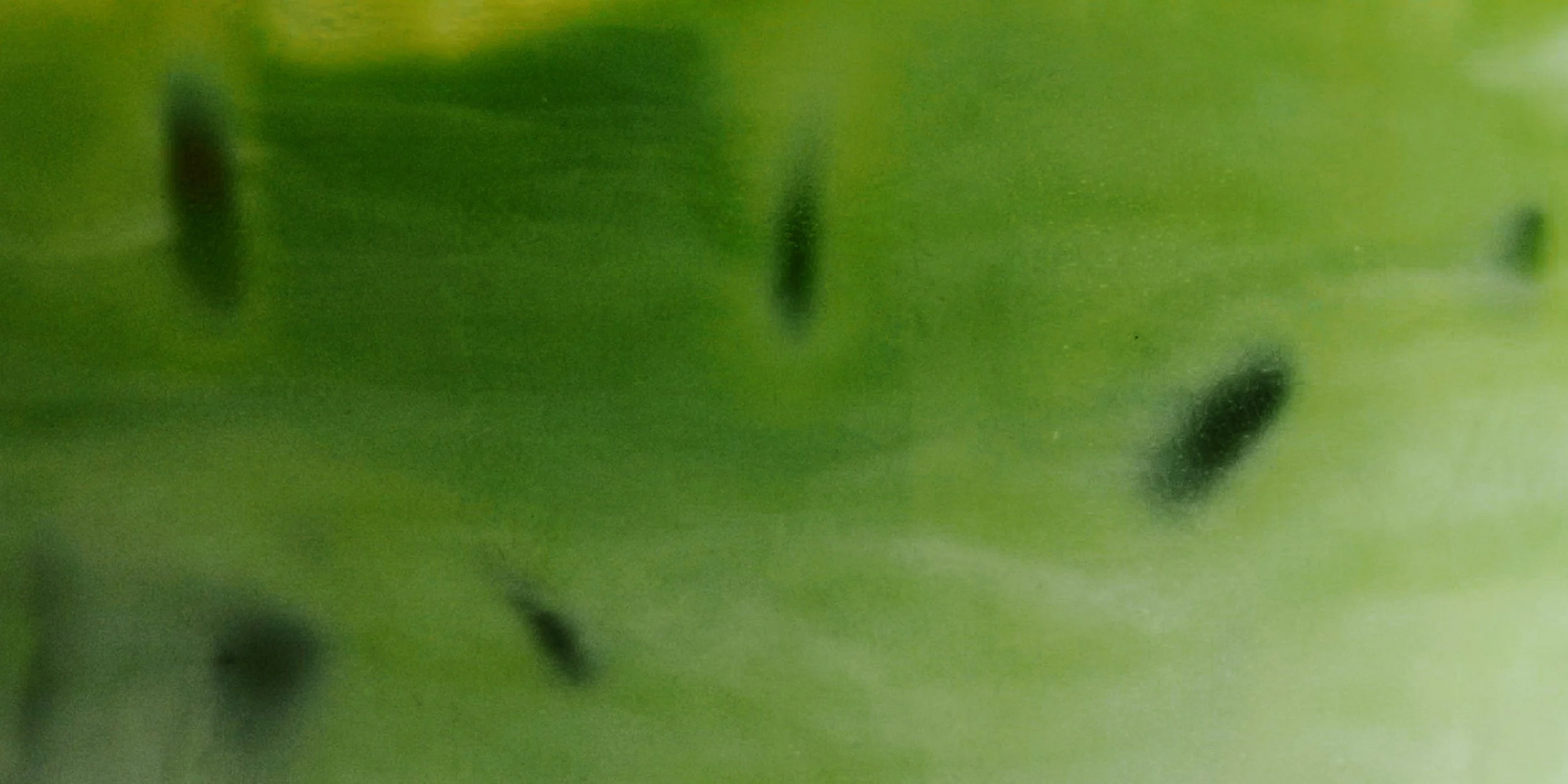 neighbors frames_1.1.12.jpeg