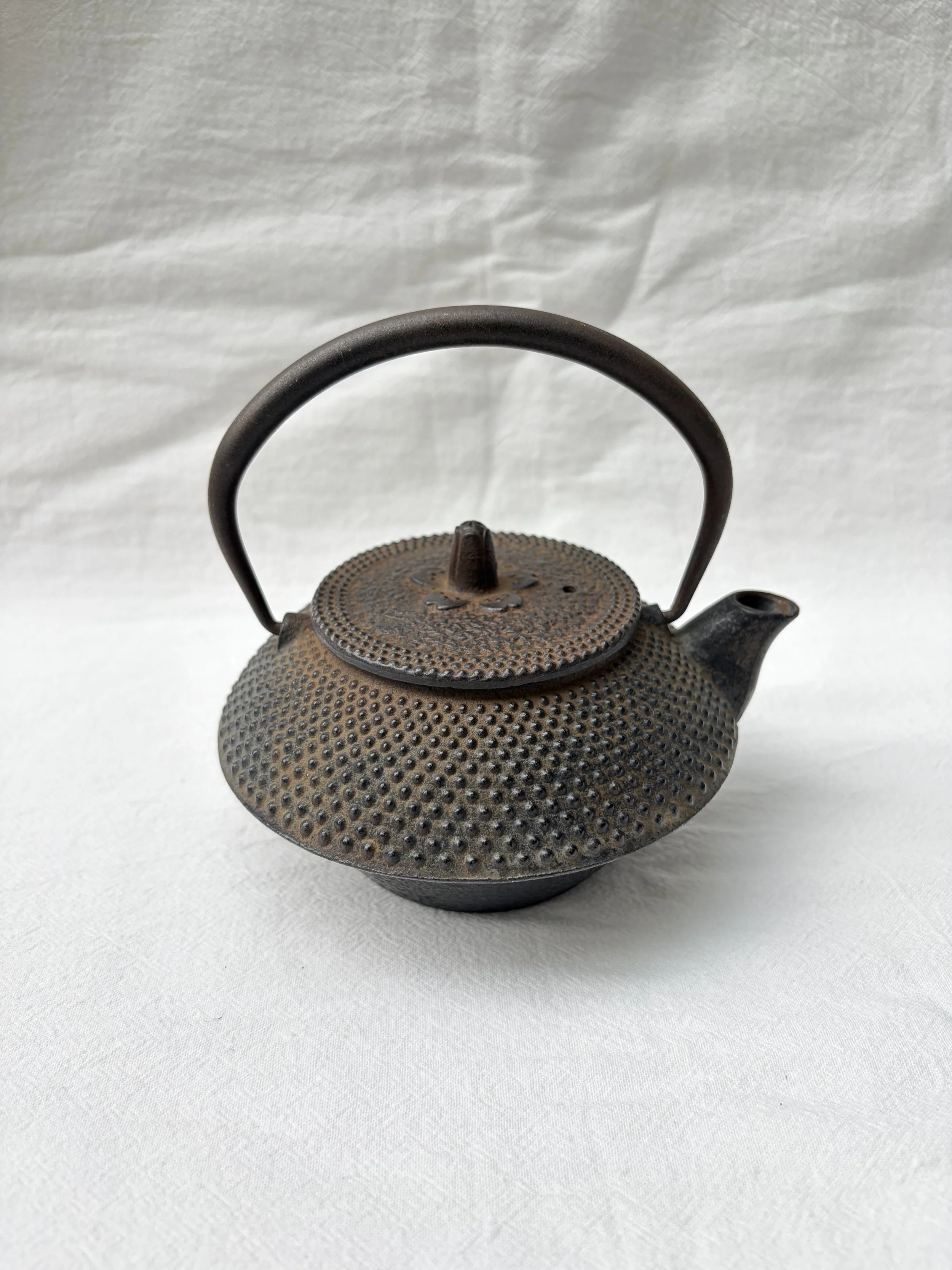 Vintage Japanese Nanbu Tekki Tetsubin Cast Iron Tea Pot from Iwate Prefecture Japan C.1950