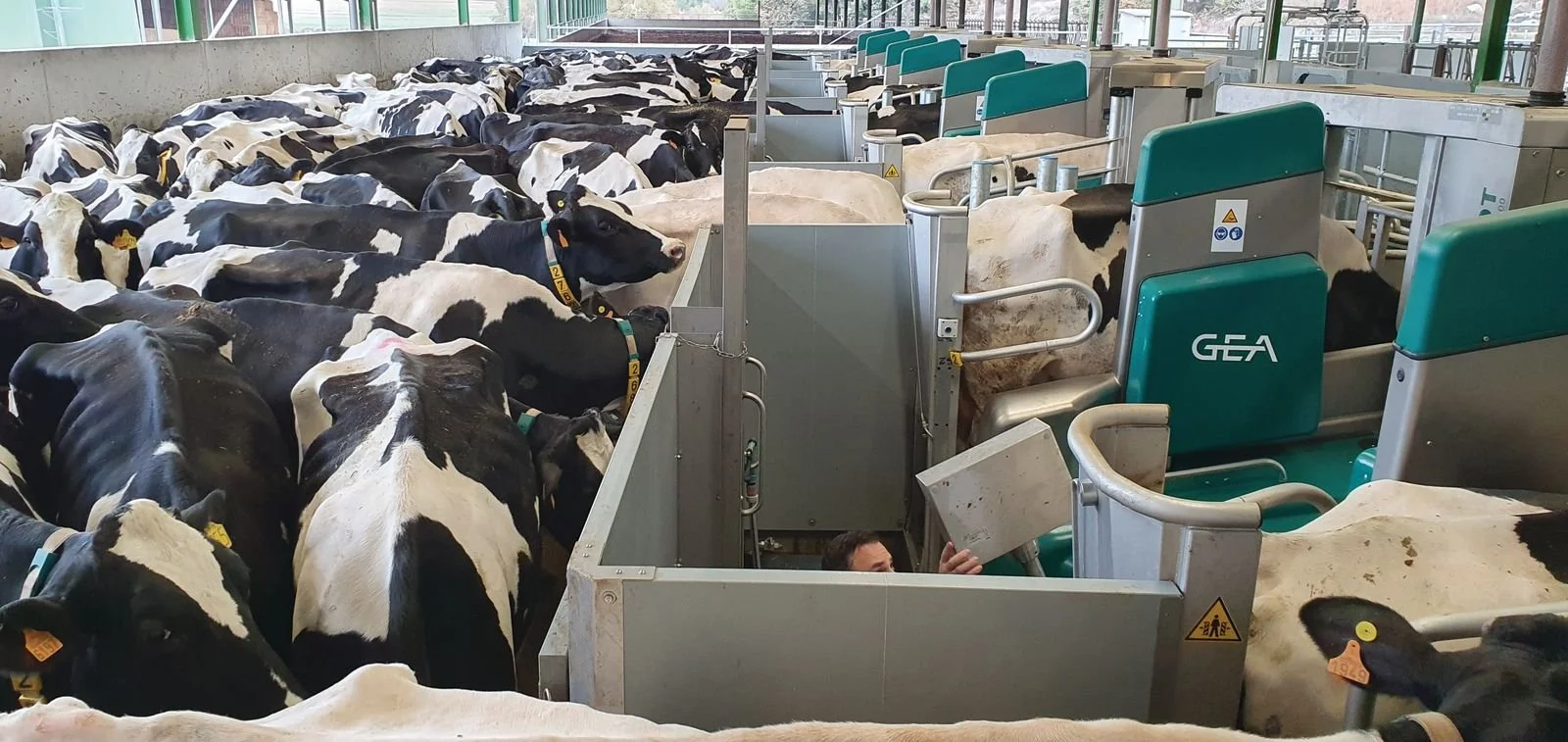 DairyRobot makes New Zealand debut at Fieldays 2025