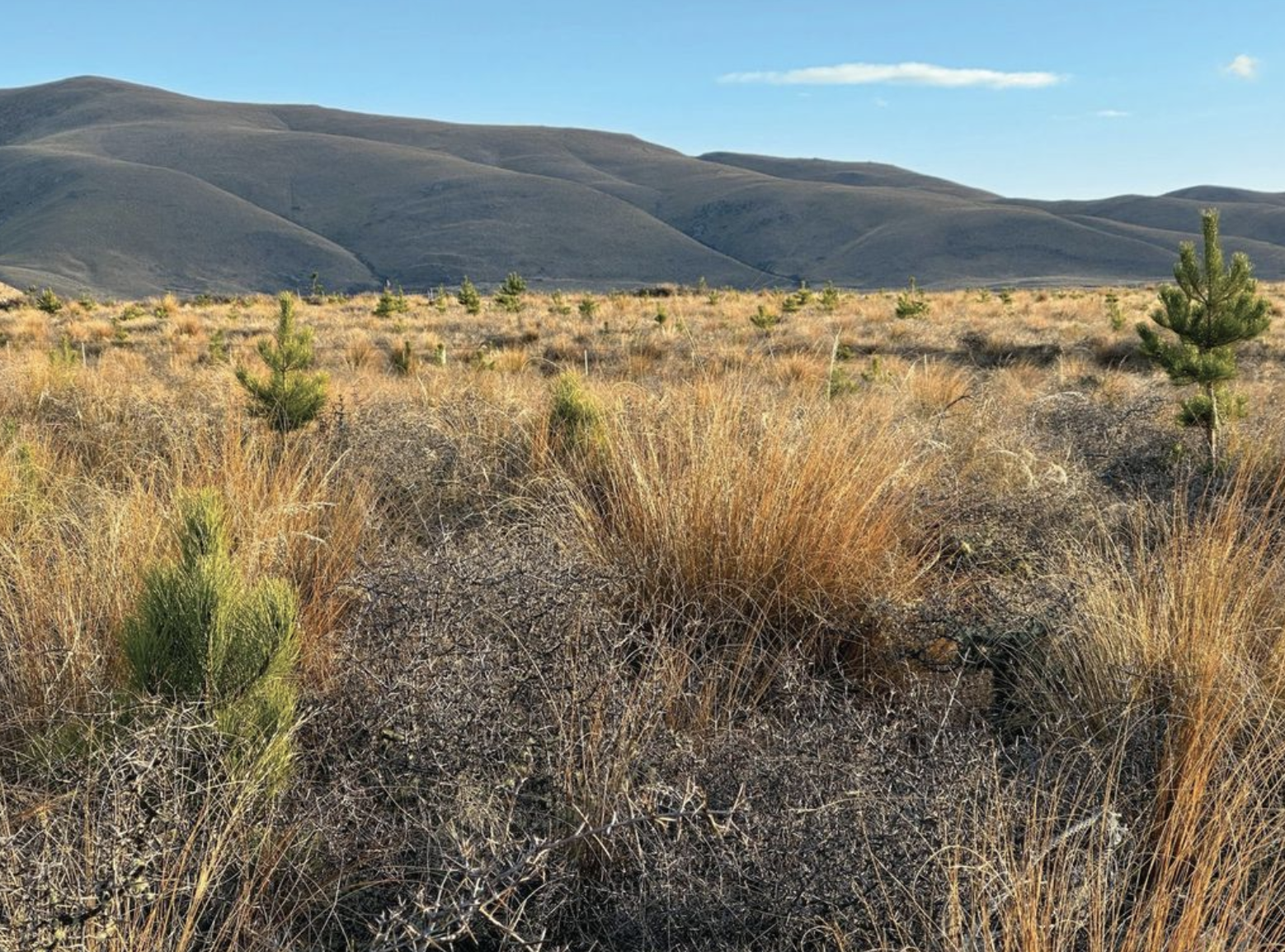 Wake up to what we all stand to lose