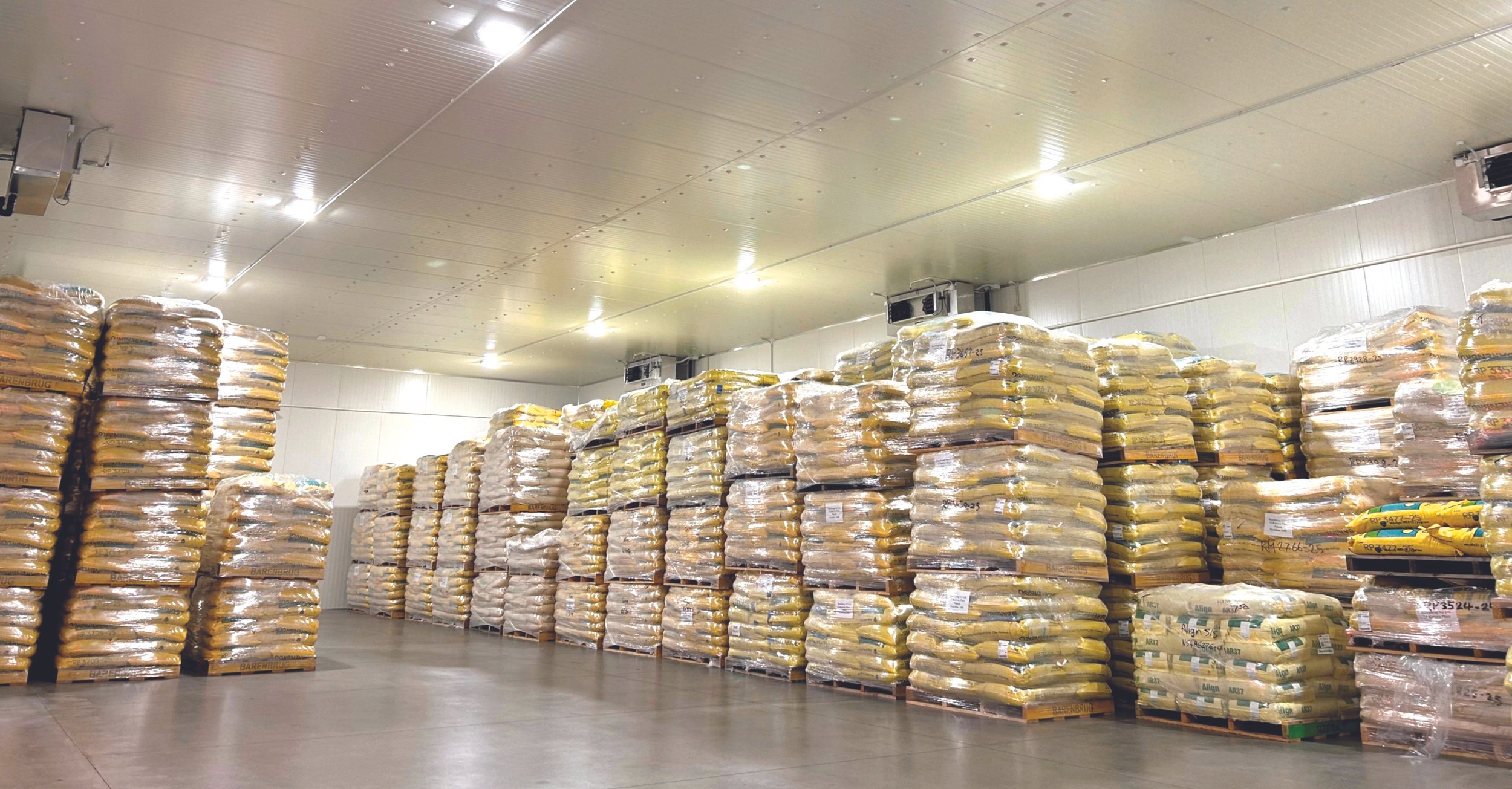 Heat, humidity no friends to endophyte