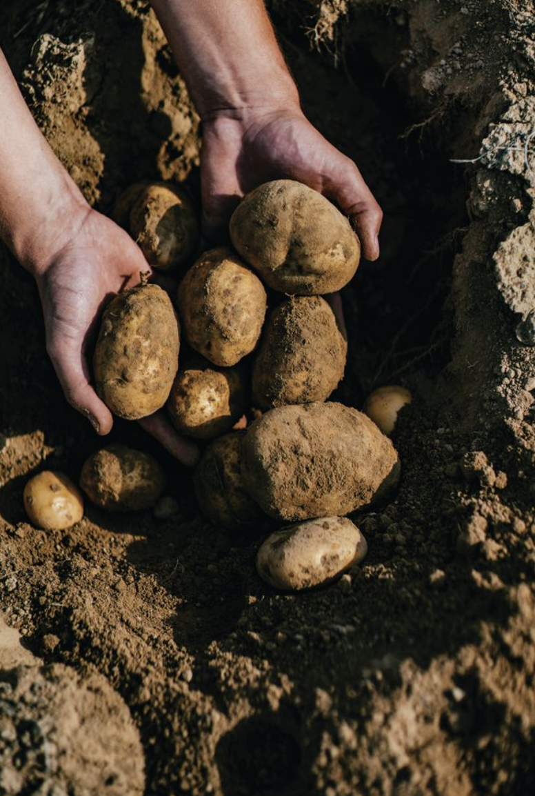 Joint effort puts regen to the test